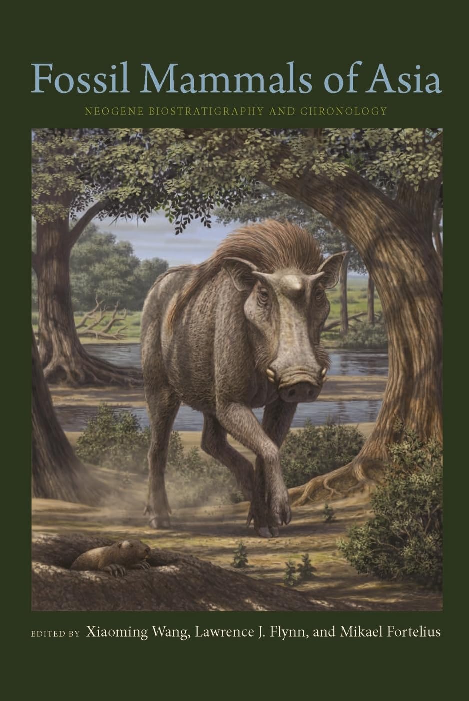 Fossil Mammals of Asia: Neogene Biostratigraphy and Chronology Mathematics
