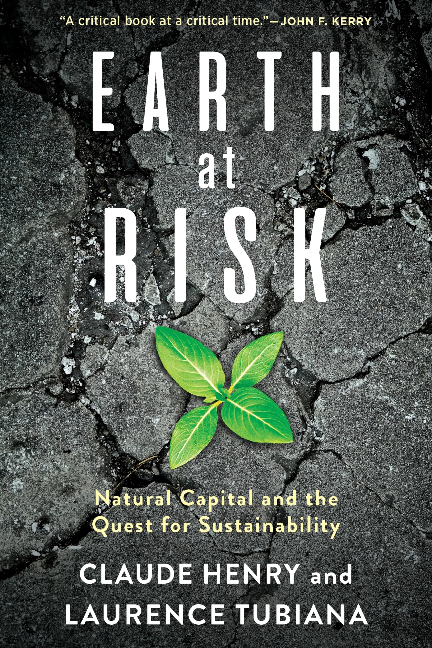 Earth at Risk: Natural Capital and the Quest for Sustainability book