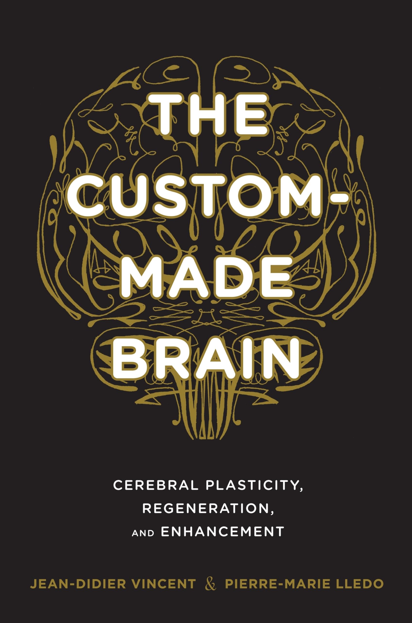 Custom-Made Brain: Cerebral Plasticity, Regeneration, and Enhancement Medicine