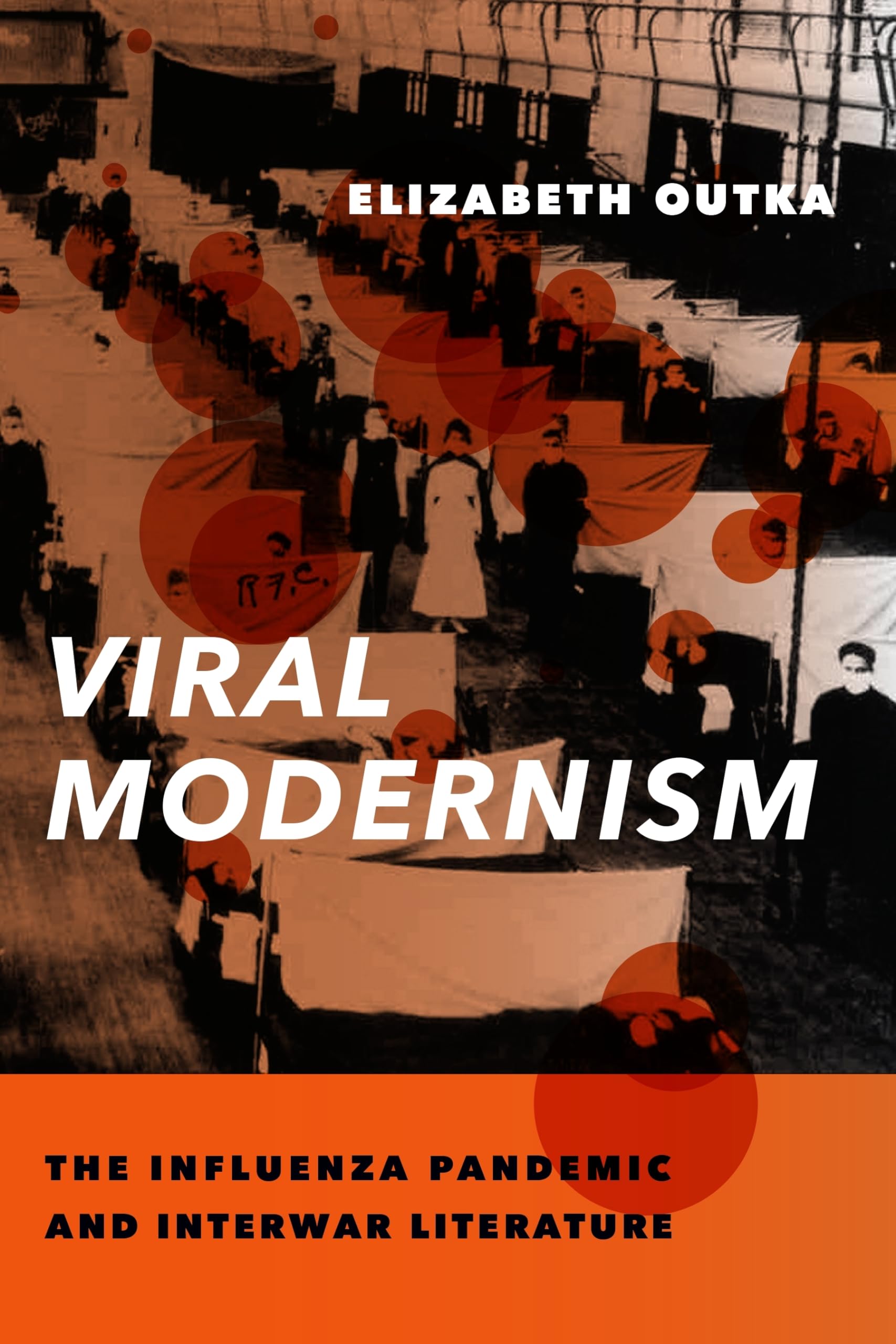 Viral Modernism: The Influenza Pandemic and Interwar Literature (Modernist Latitudes) Medicine
