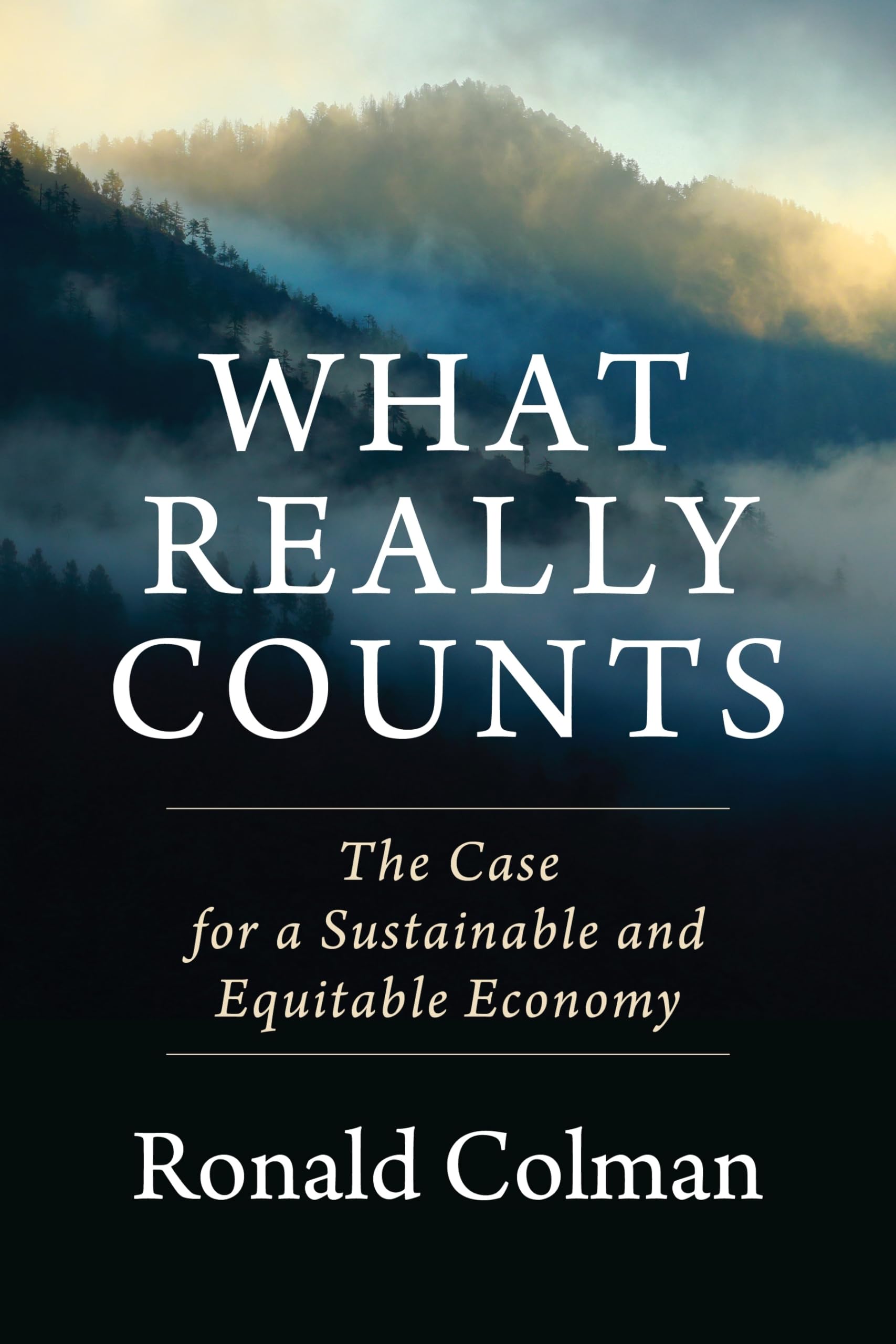 What Really Counts: The Case for a Sustainable and Equitable Economy Business, Finance & Career