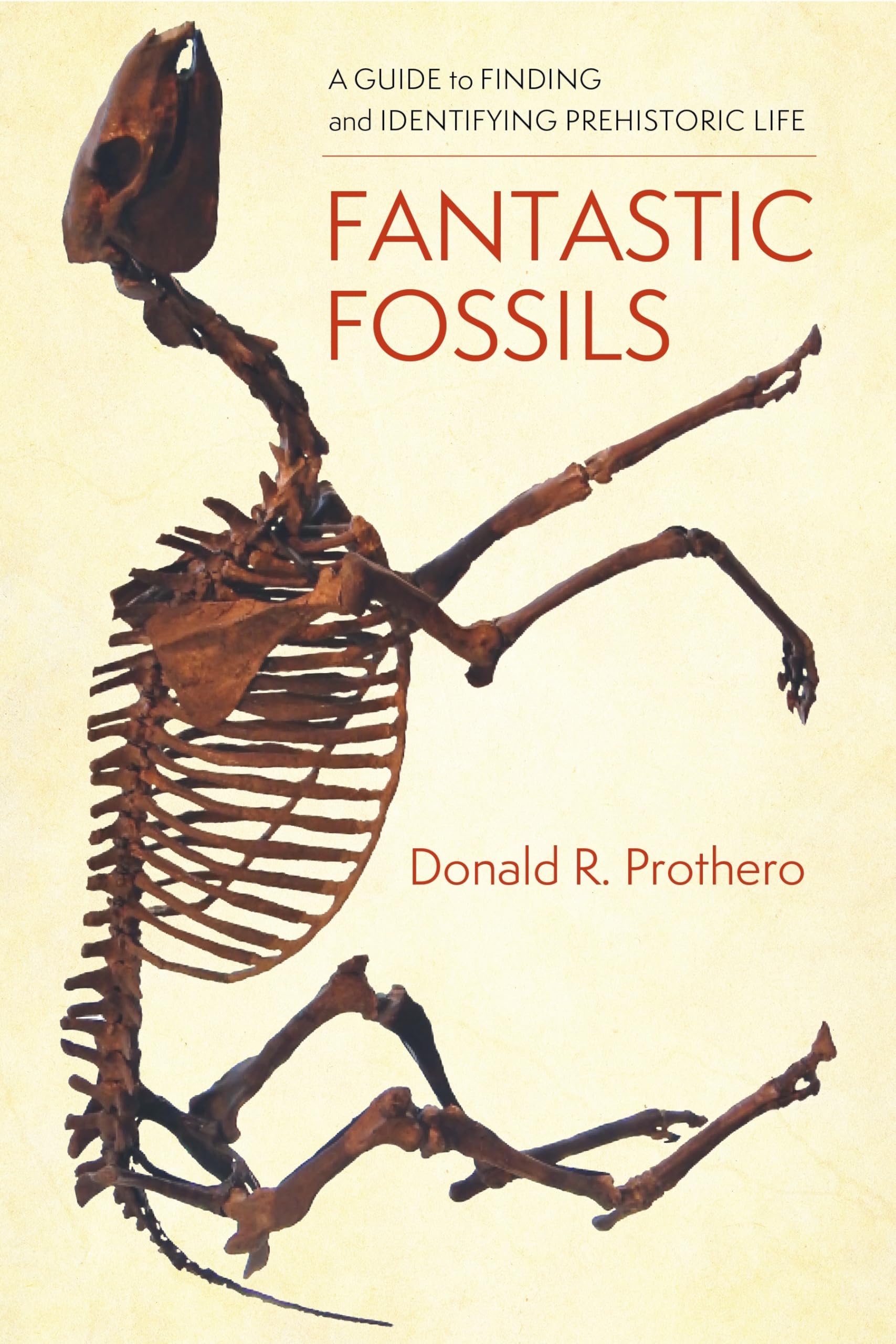 Fantastic Fossils: A Guide to Finding and Identifying Prehistoric Life Mathematics