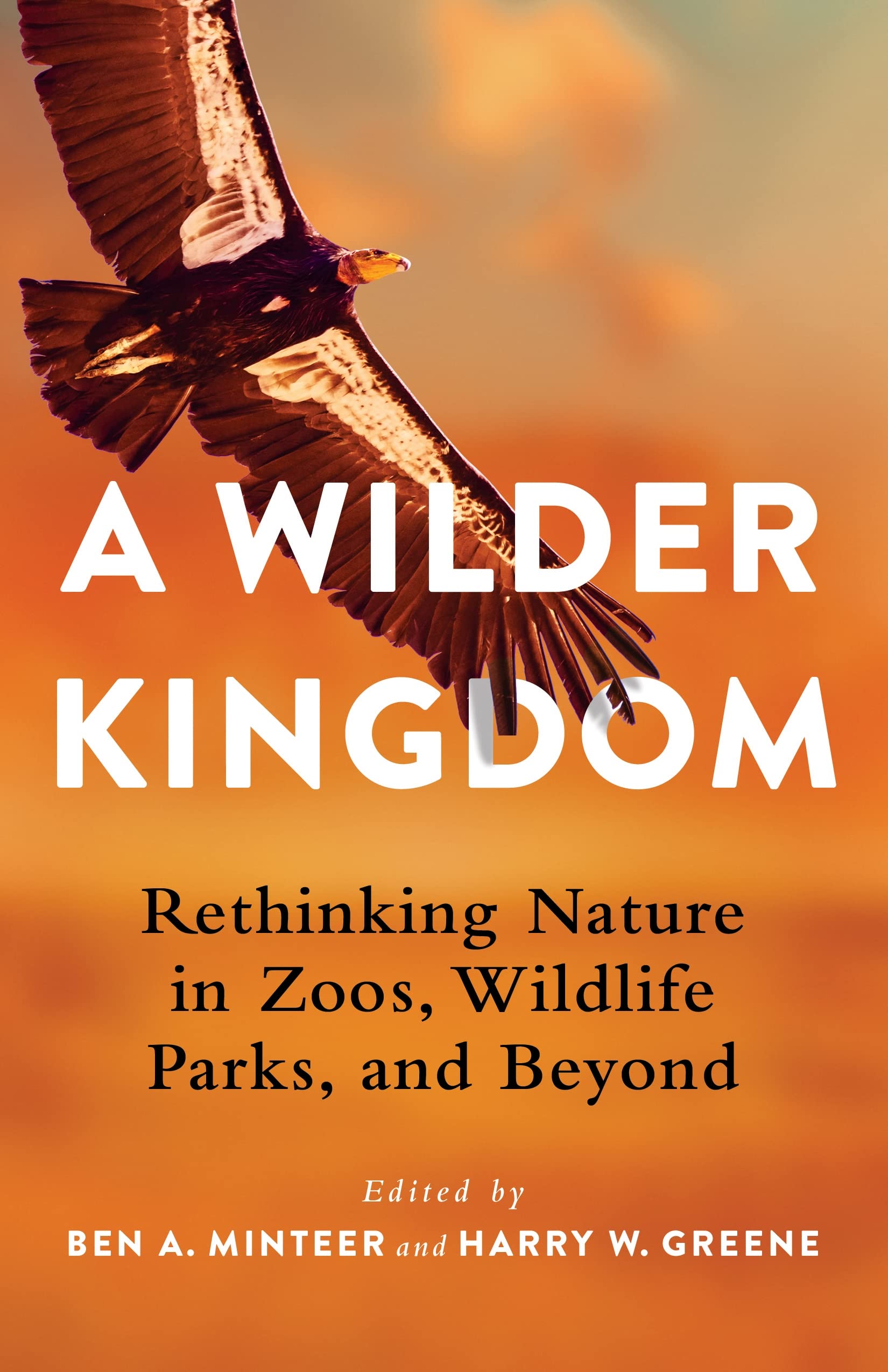 A Wilder Kingdom: Rethinking Nature in Zoos, Wildlife Parks, and Beyond Mathematics