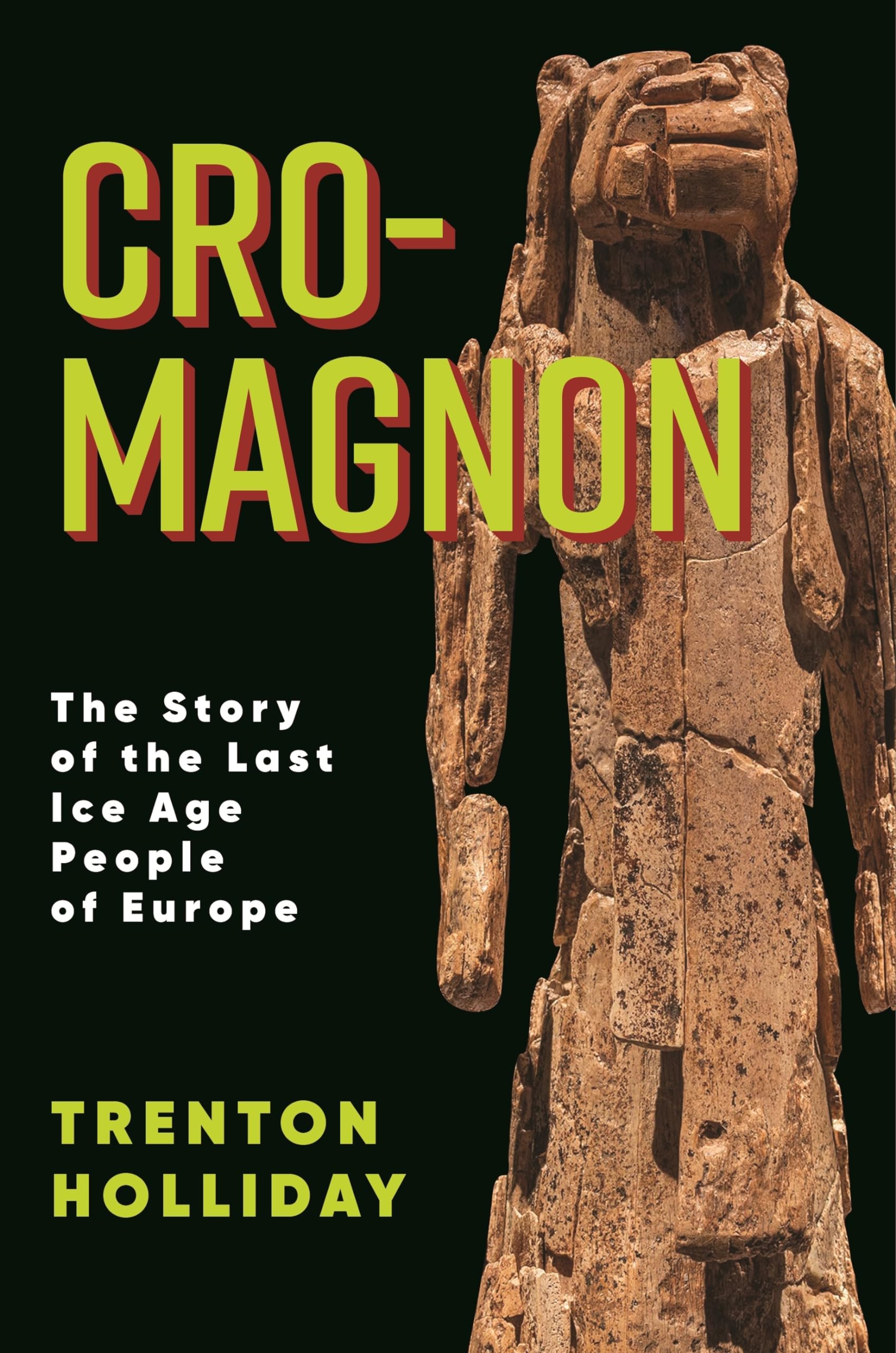 Cro-Magnon: The Story of the Last Ice Age People of Europe Social Sciences
