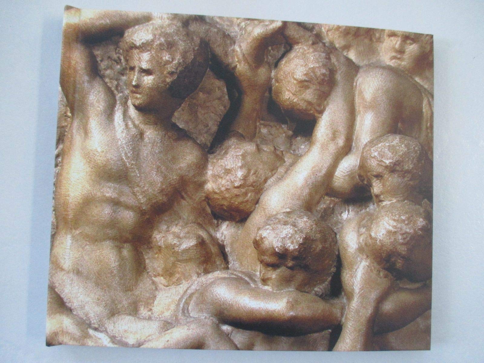 The Treasures of Michelangelo book