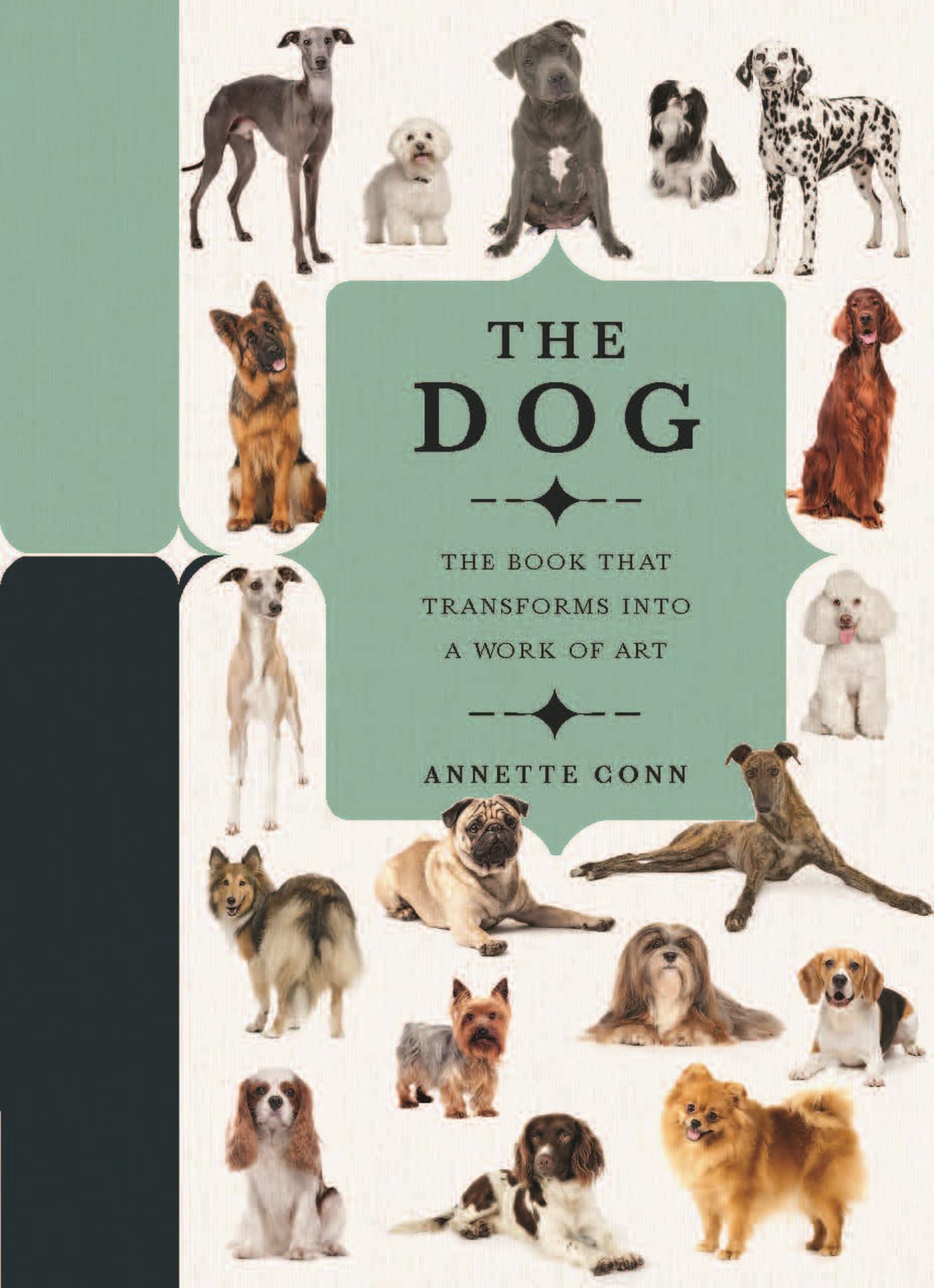 Paperscapes: The Dog: The Book That Transforms into a Work of Art Film, Art & Culture