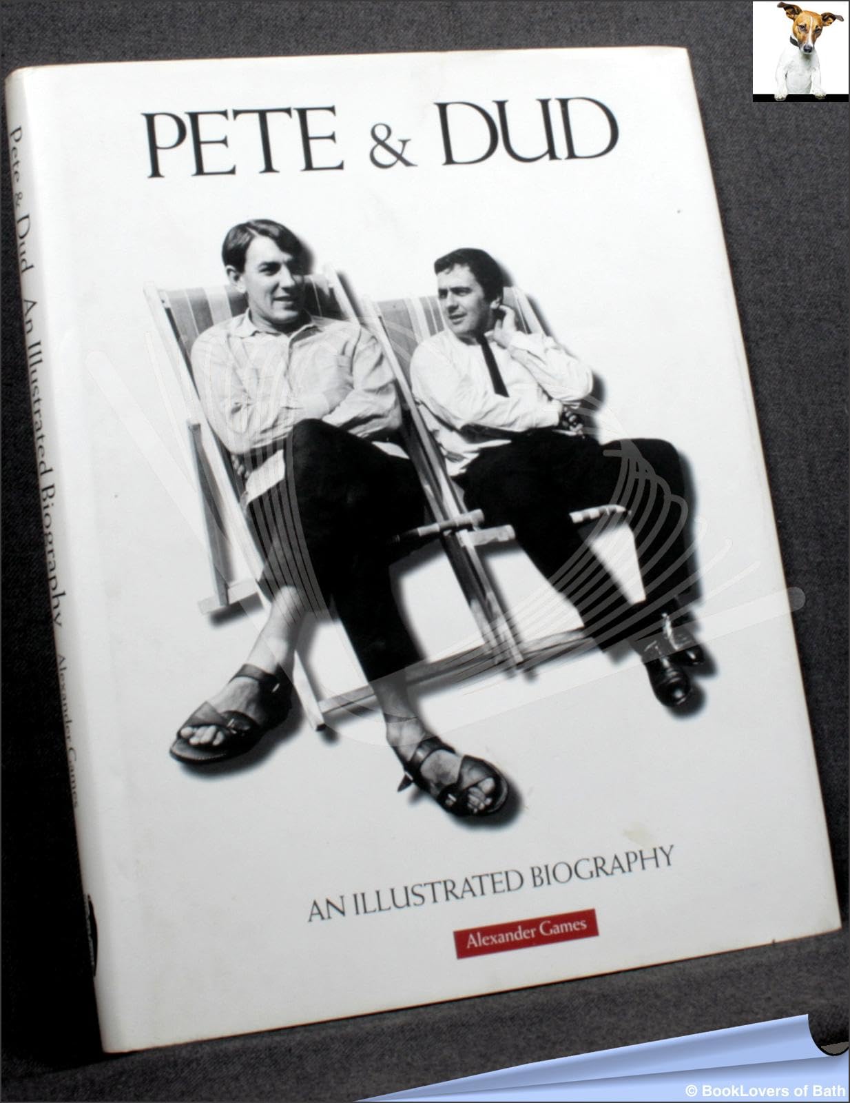 Pete and Dud: An Illustrated Biography book