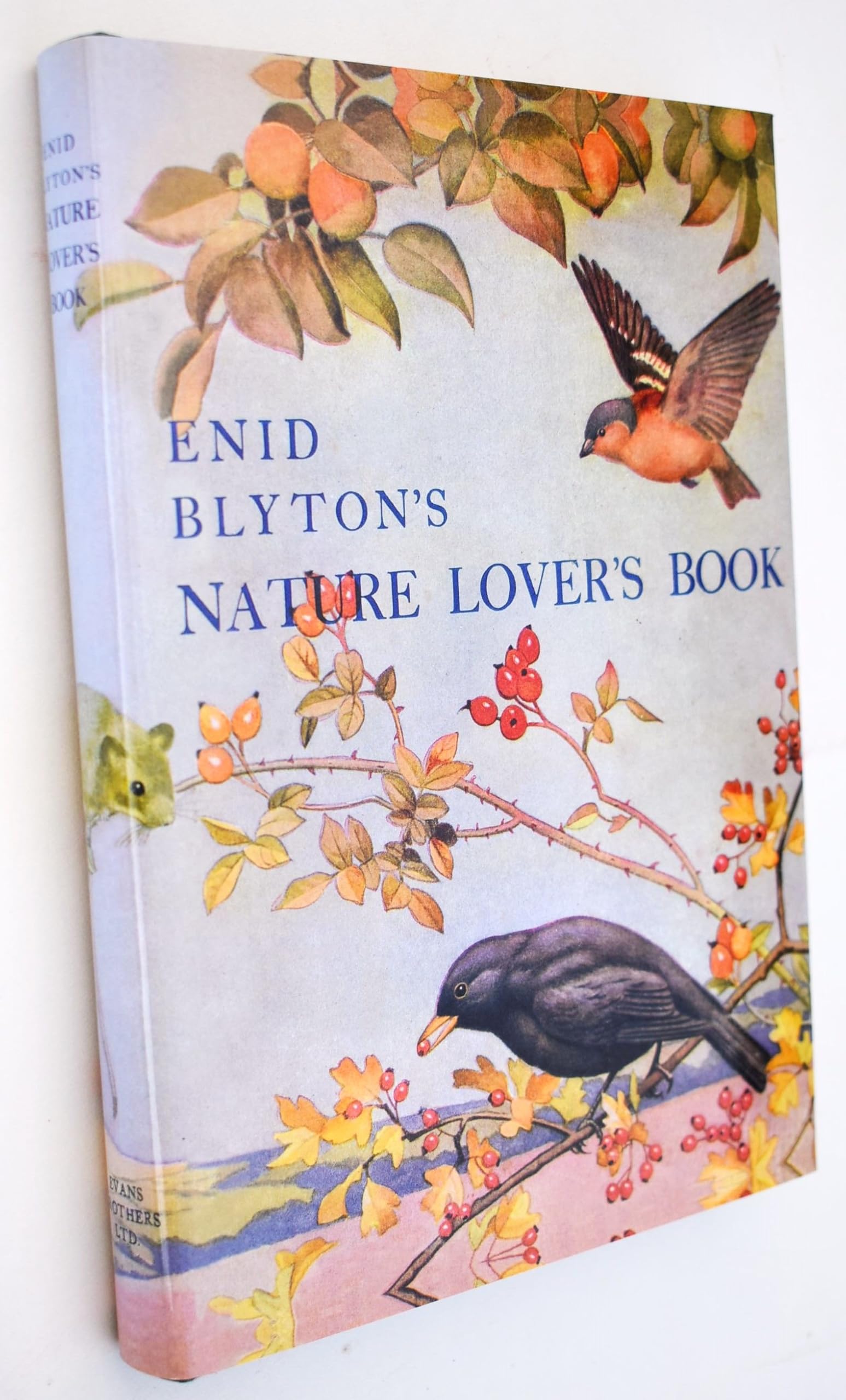 Enid Blyton's Nature Lover's Book book