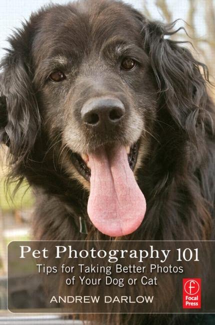 Pet Photography 101: Tips for Taking Better Photos of Your Dog or Cat: Tips for taking better photos of your cat or dog Photography