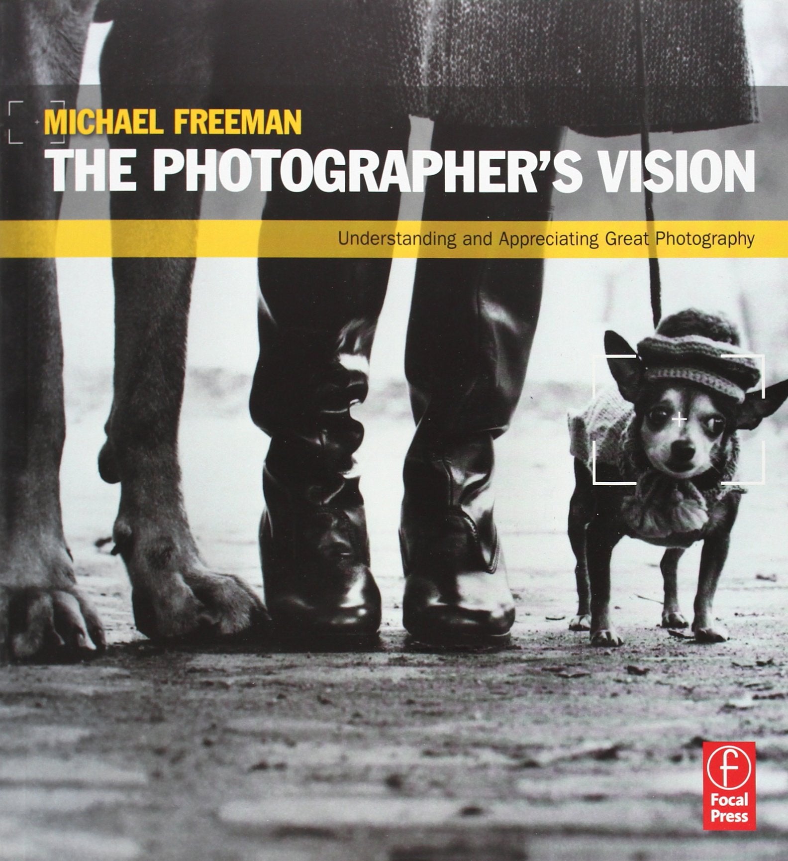 The Photographer's Vision: Understanding and Appreciating Great Photography book