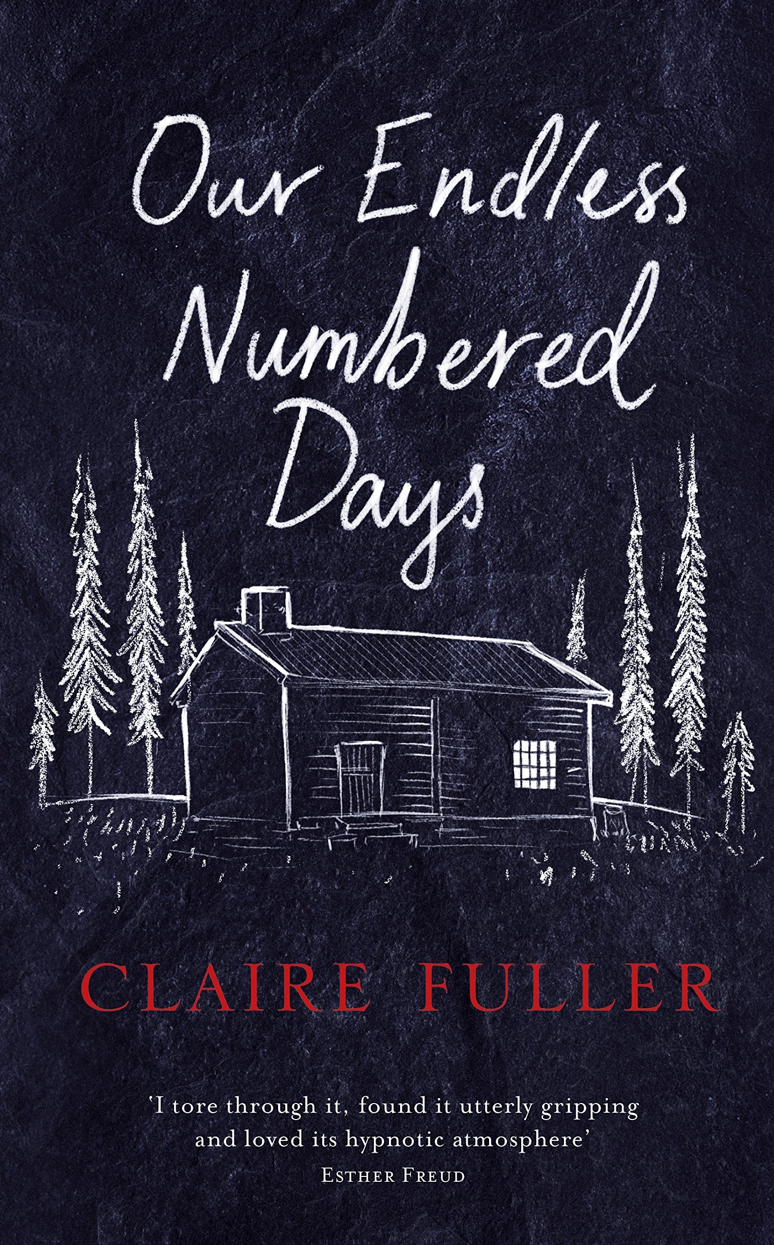 Our Endless Numbered Days: Winner of the Desmond Elliott Prize 2015 Contemporary literature