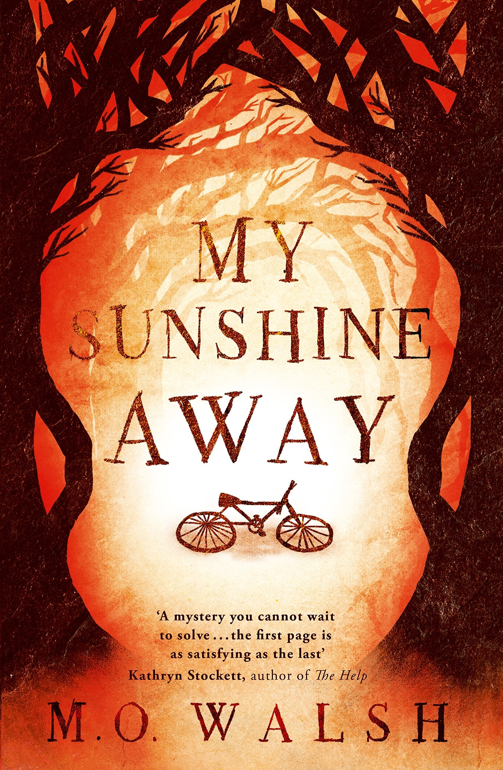 My Sunshine Away Contemporary literature Books