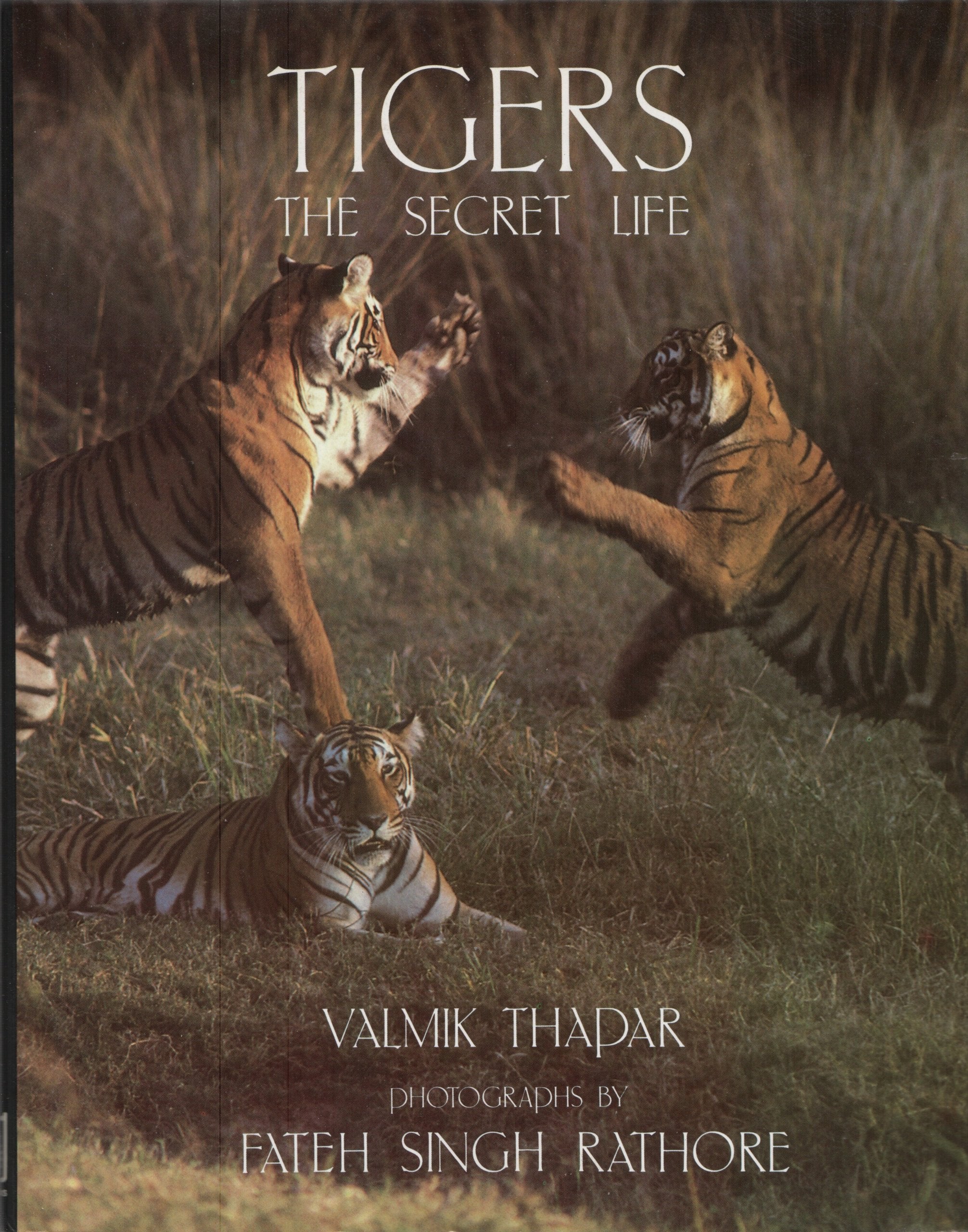 Product Image: Tigers: The Secret Life