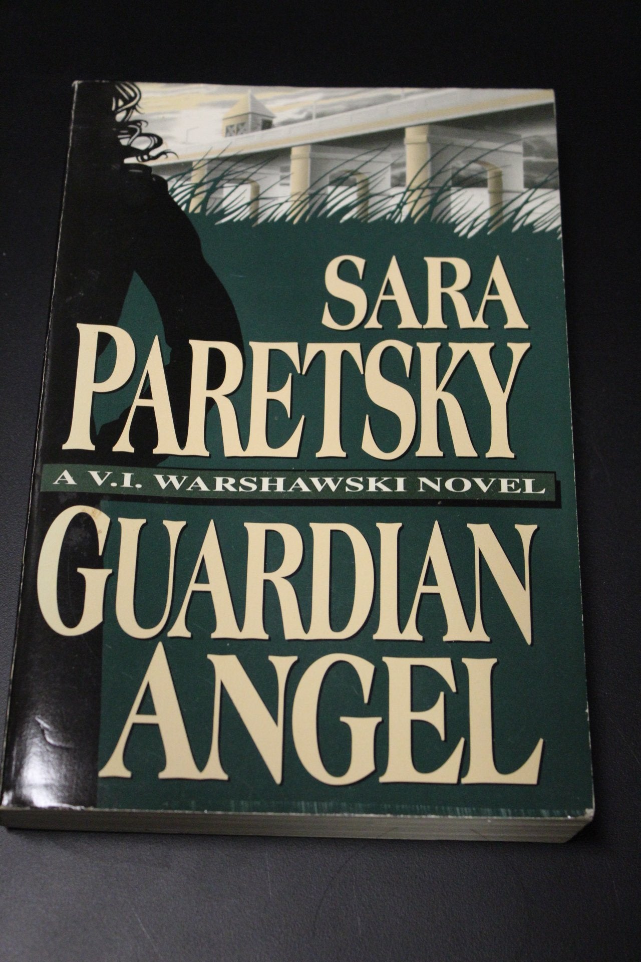 Guardian Angel Contemporary literature Books