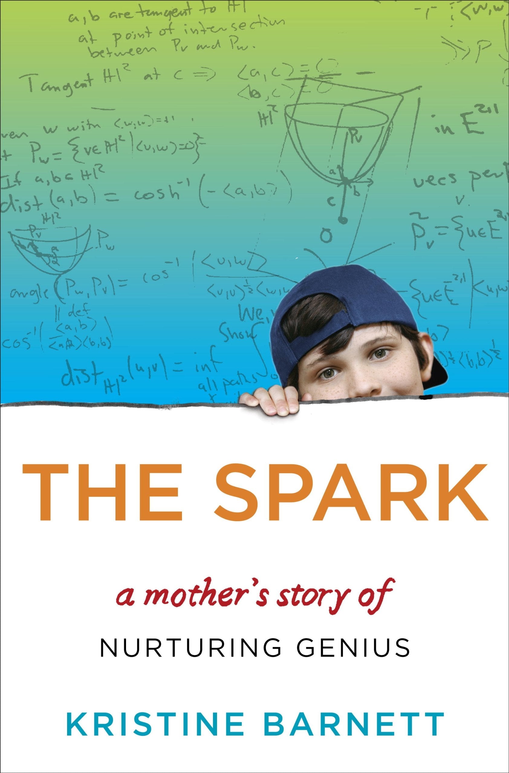 The Spark: A Mother's Story of Nurturing Genius Memories