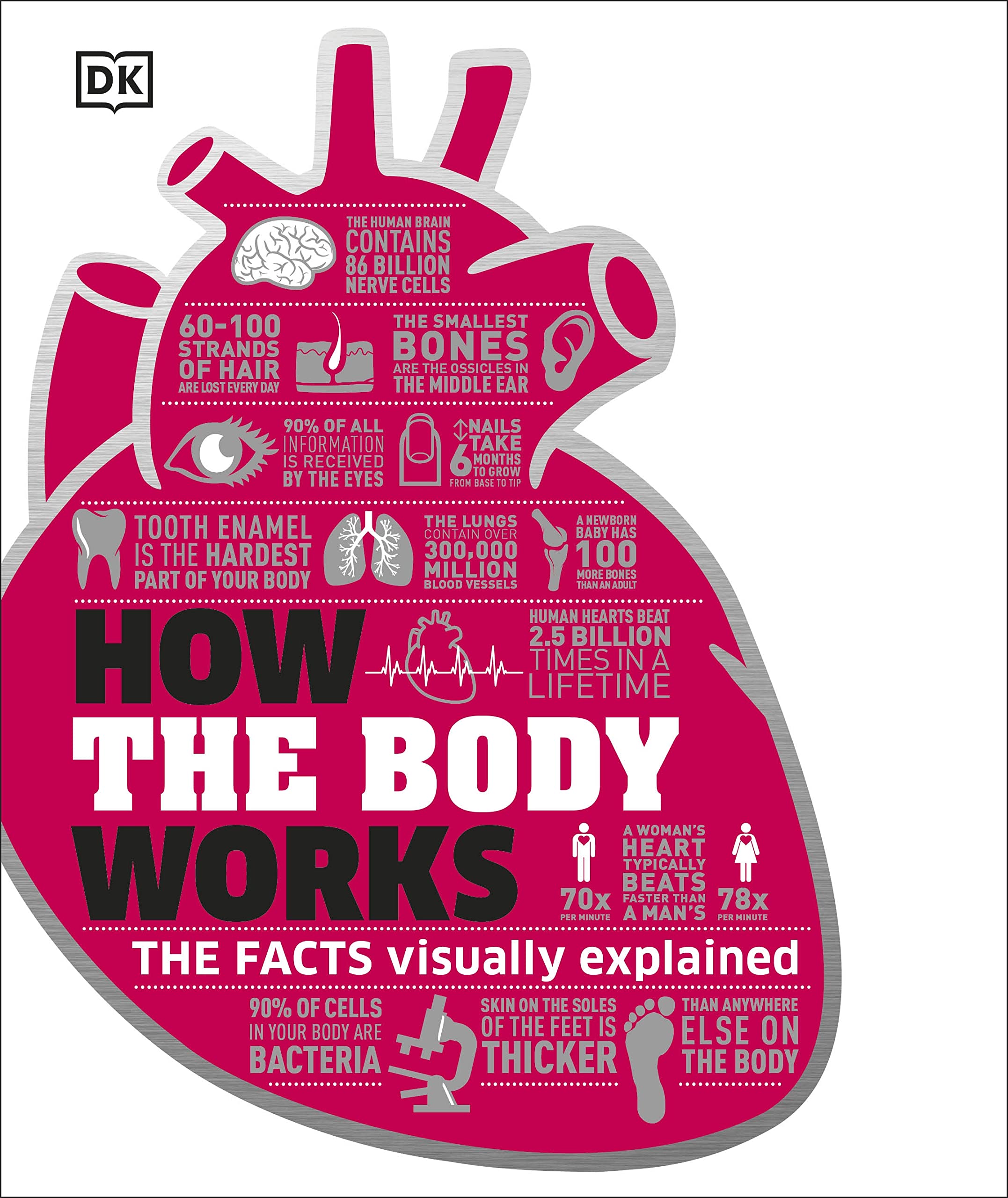 How the Body Works Medicine