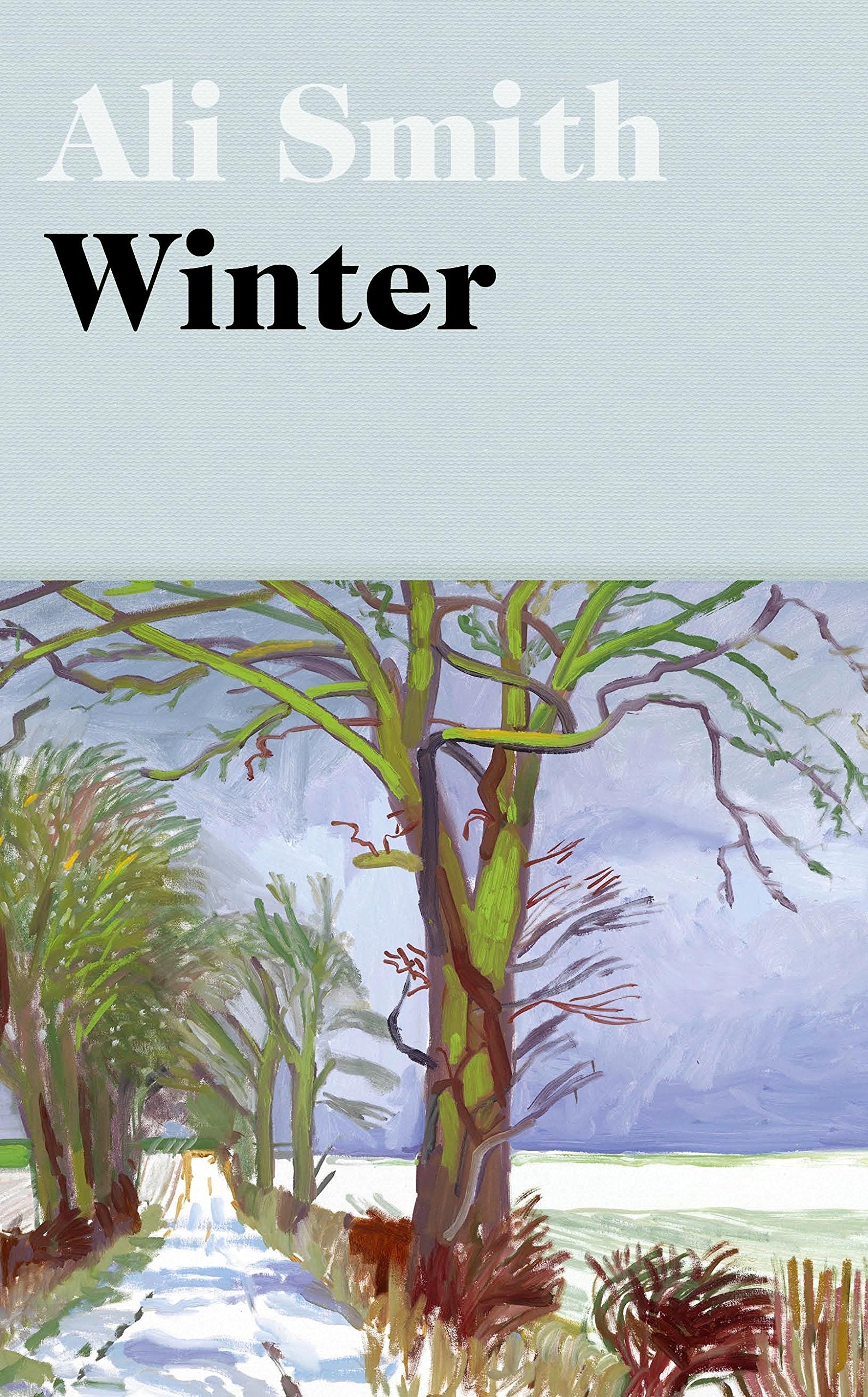 Winter: 'Dazzling, luminous, evergreen’ Daily Telegraph (Seasonal Quartet) Contemporary literature