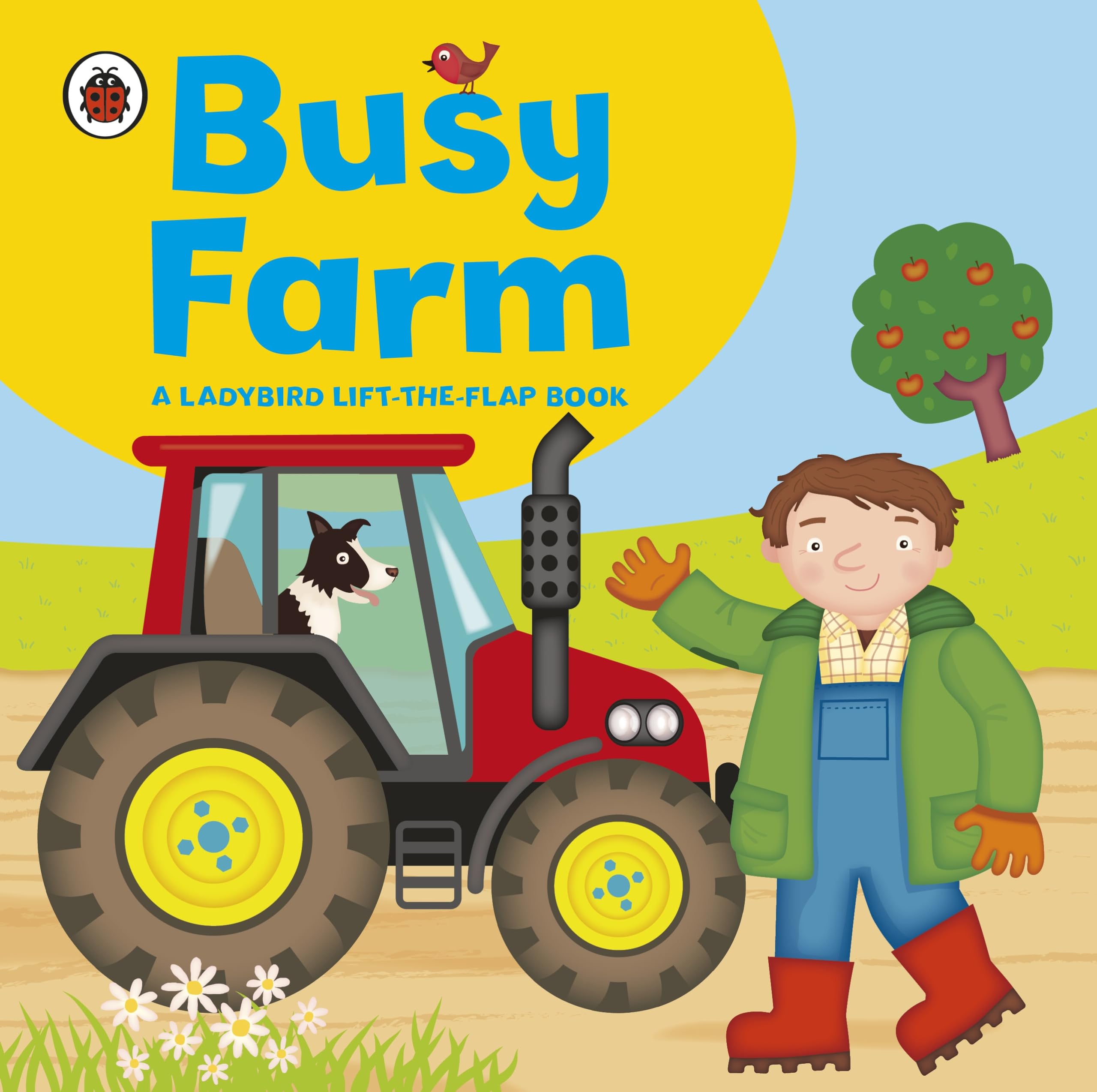 Ladybird lift-the-flap book: Busy Farm Novels & Short Stories