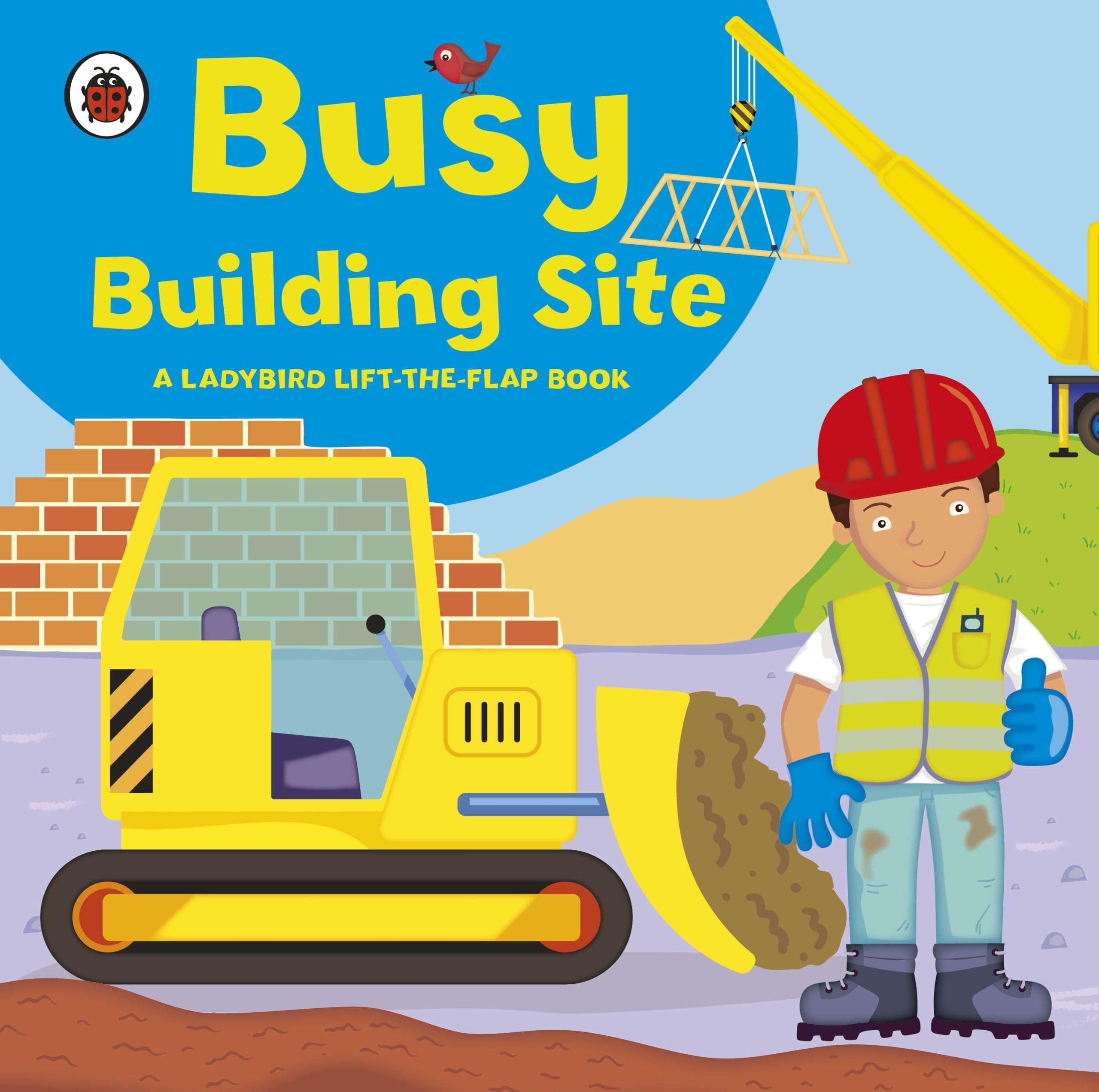 Ladybird lift-the-flap book: Busy Building Site Novels & Short Stories