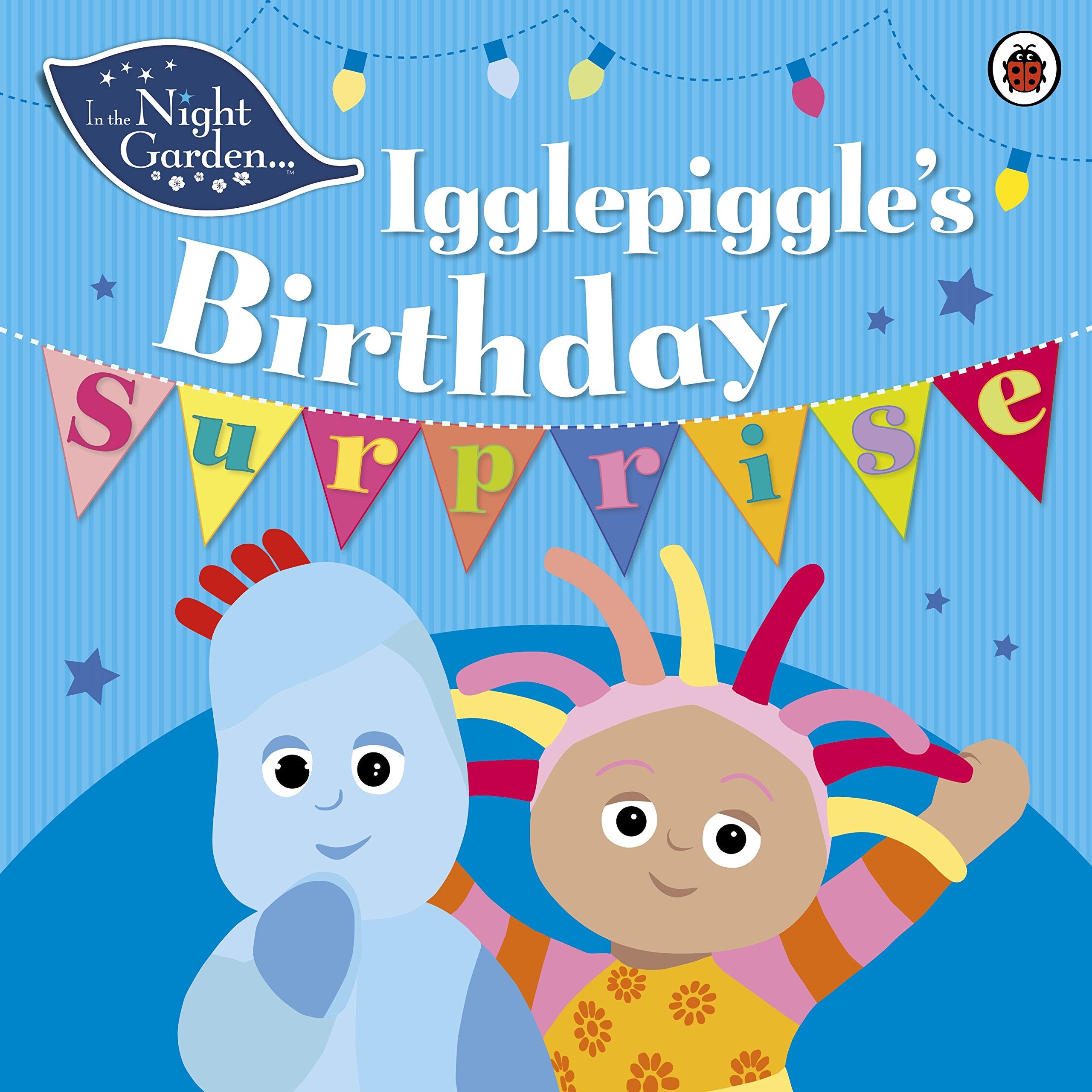 In the Night Garden: Igglepiggle's Birthday Surprise book