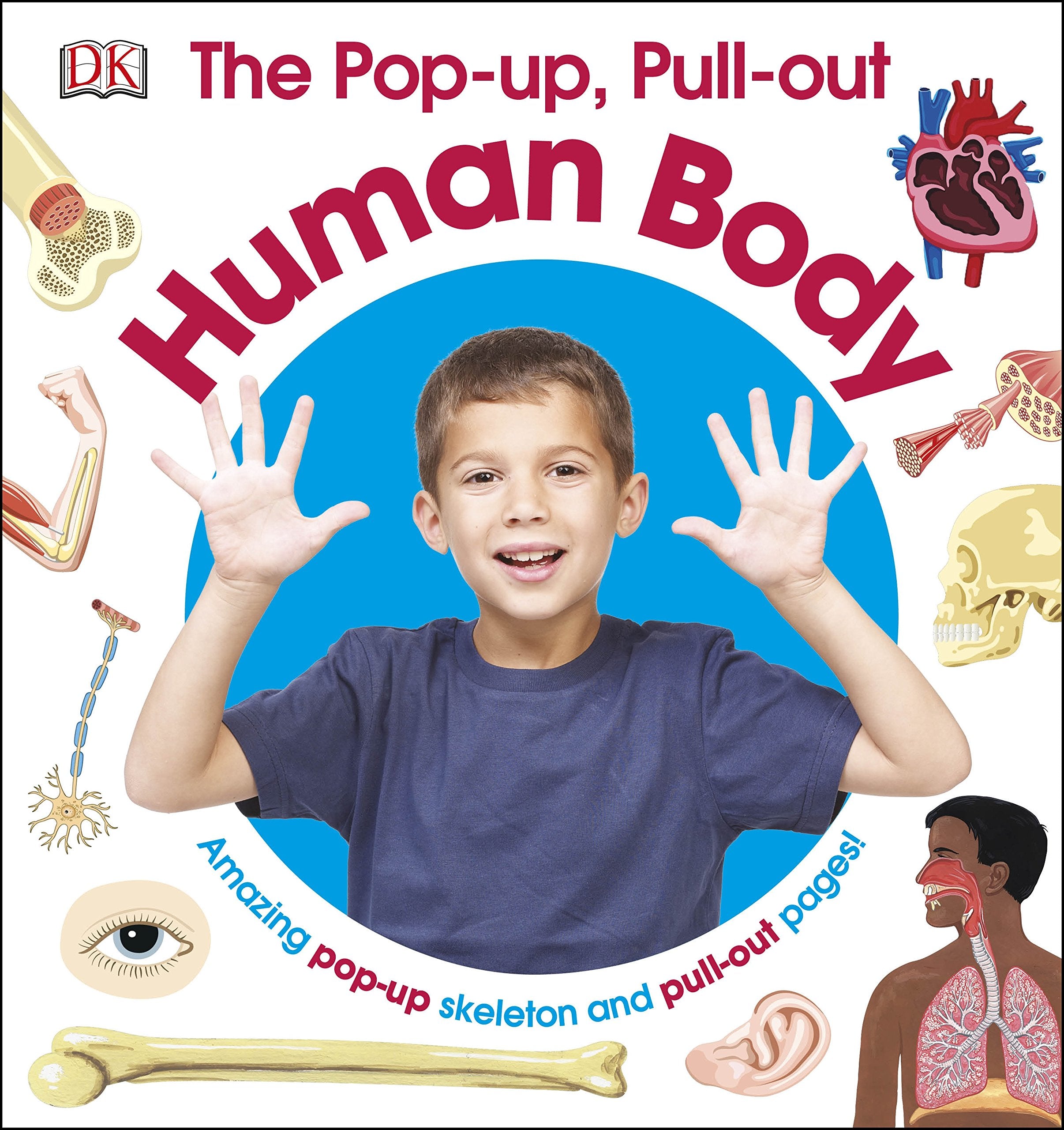 The Pop-up, Pull-out Human Body Tiptoi & Games