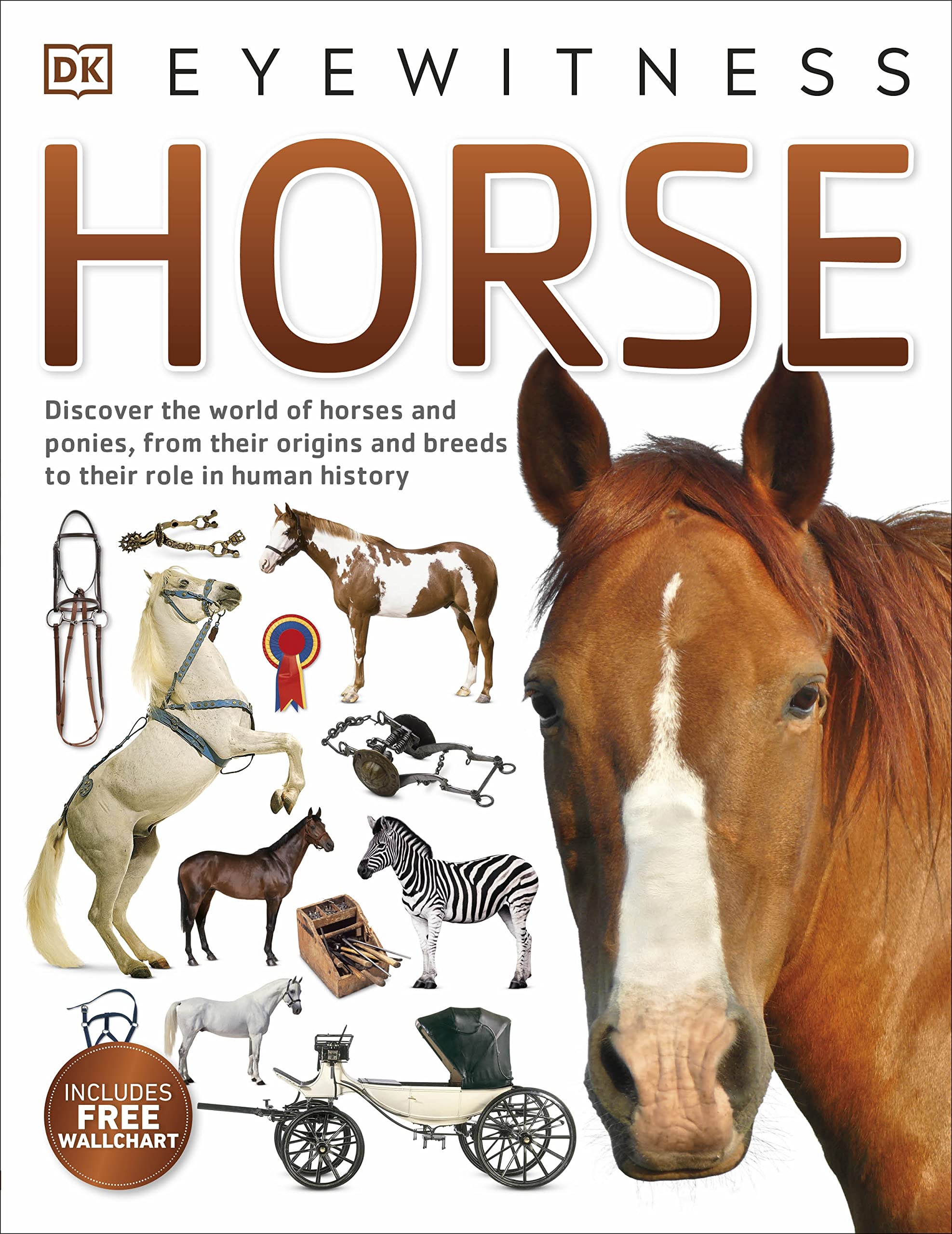 Horse Pets