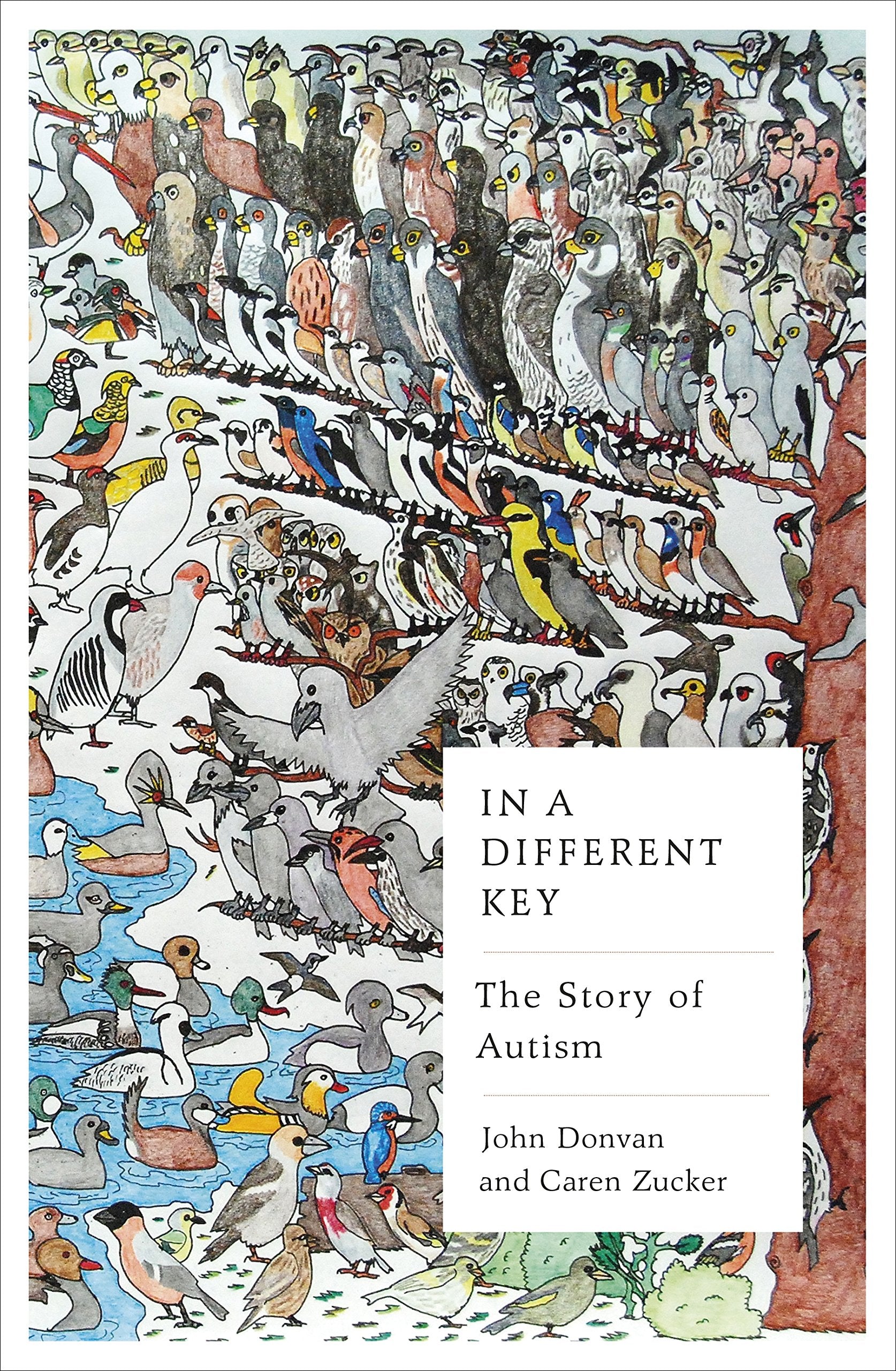 In a Different Key: The Story of Autism Medicine