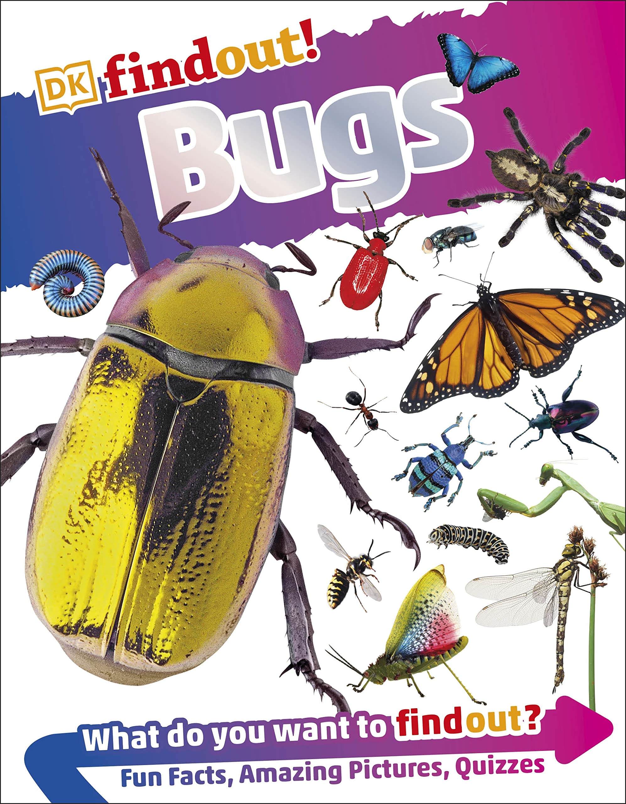 DKfindout! Bugs book