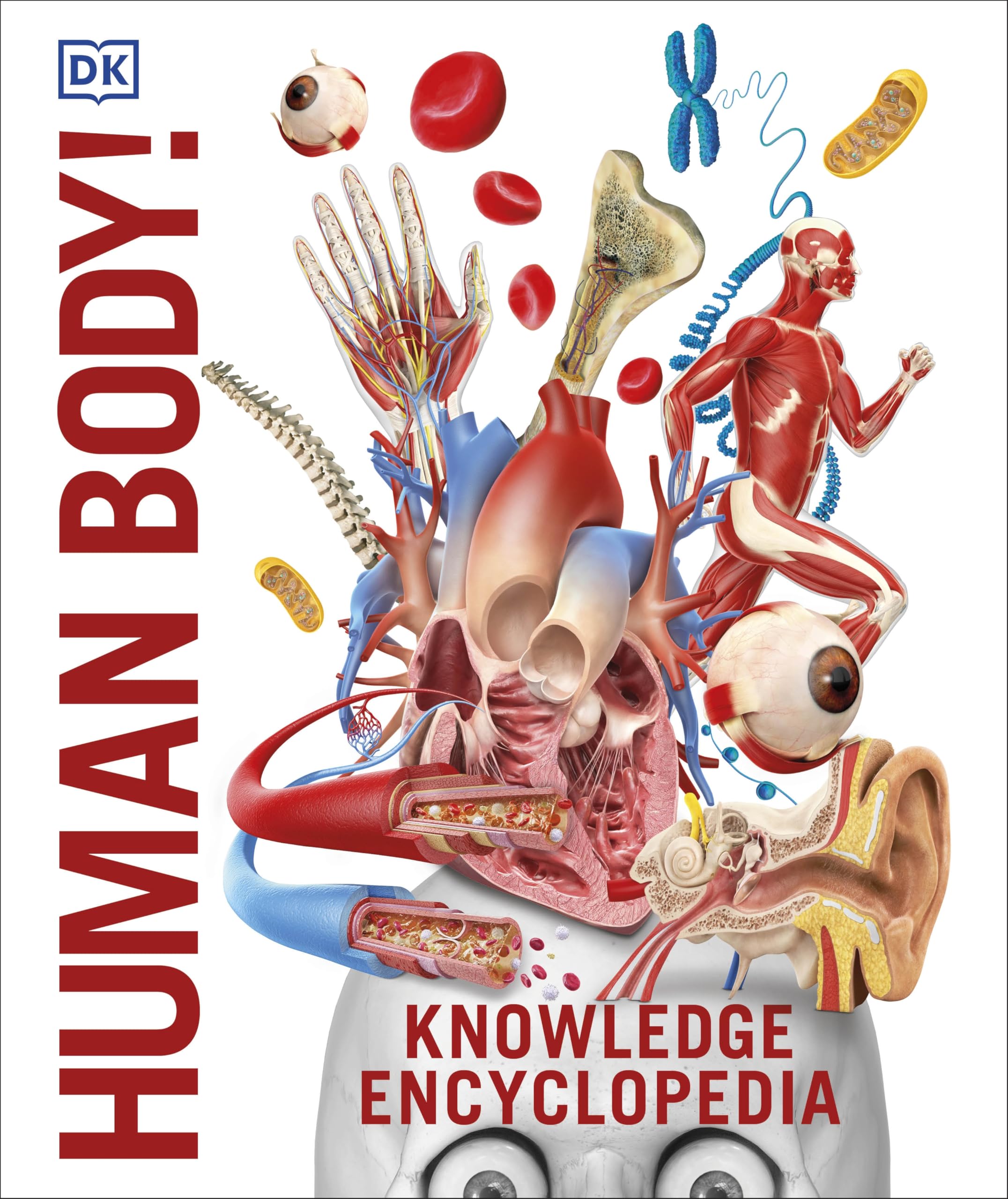 Knowledge Encyclopedia Human Body! (Knowledge Encyclopedias) Medicine