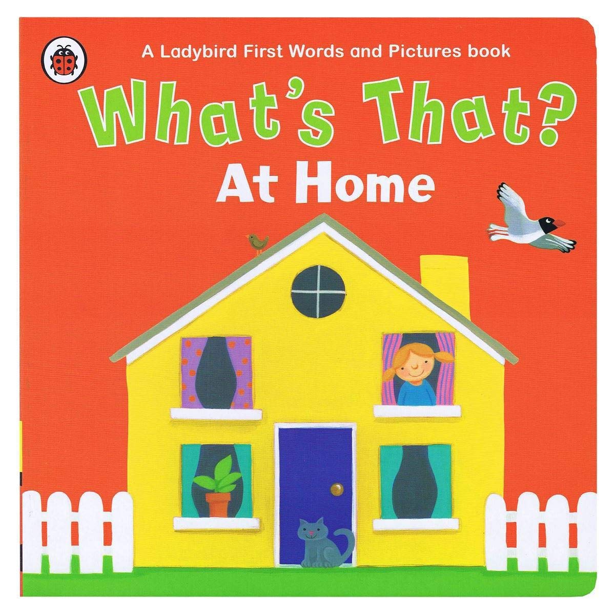 What's That? At Home A Ladybird First Words and Pictures Book Non-fiction