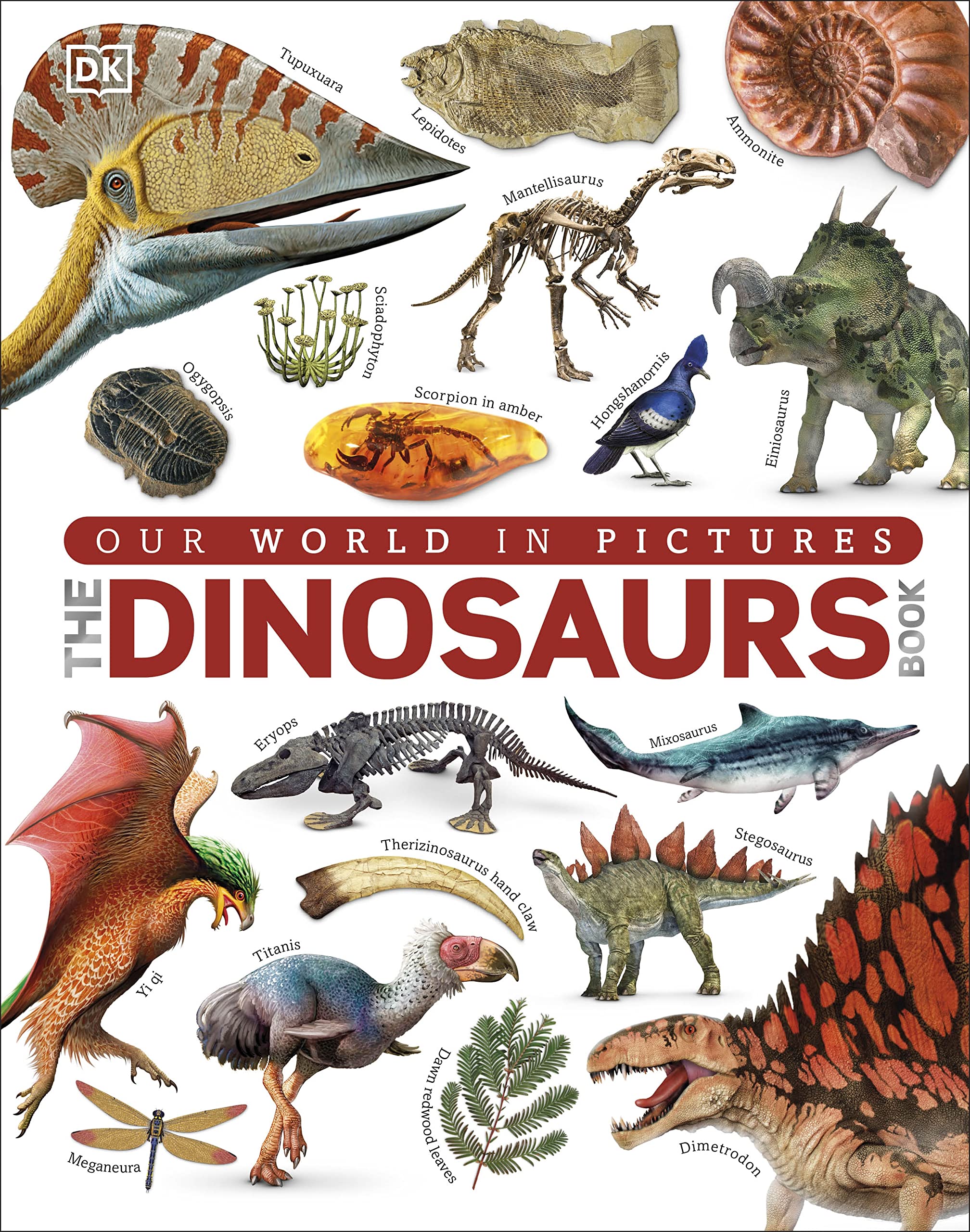 The Dinosaurs Book Leisure, Home & Garden Books