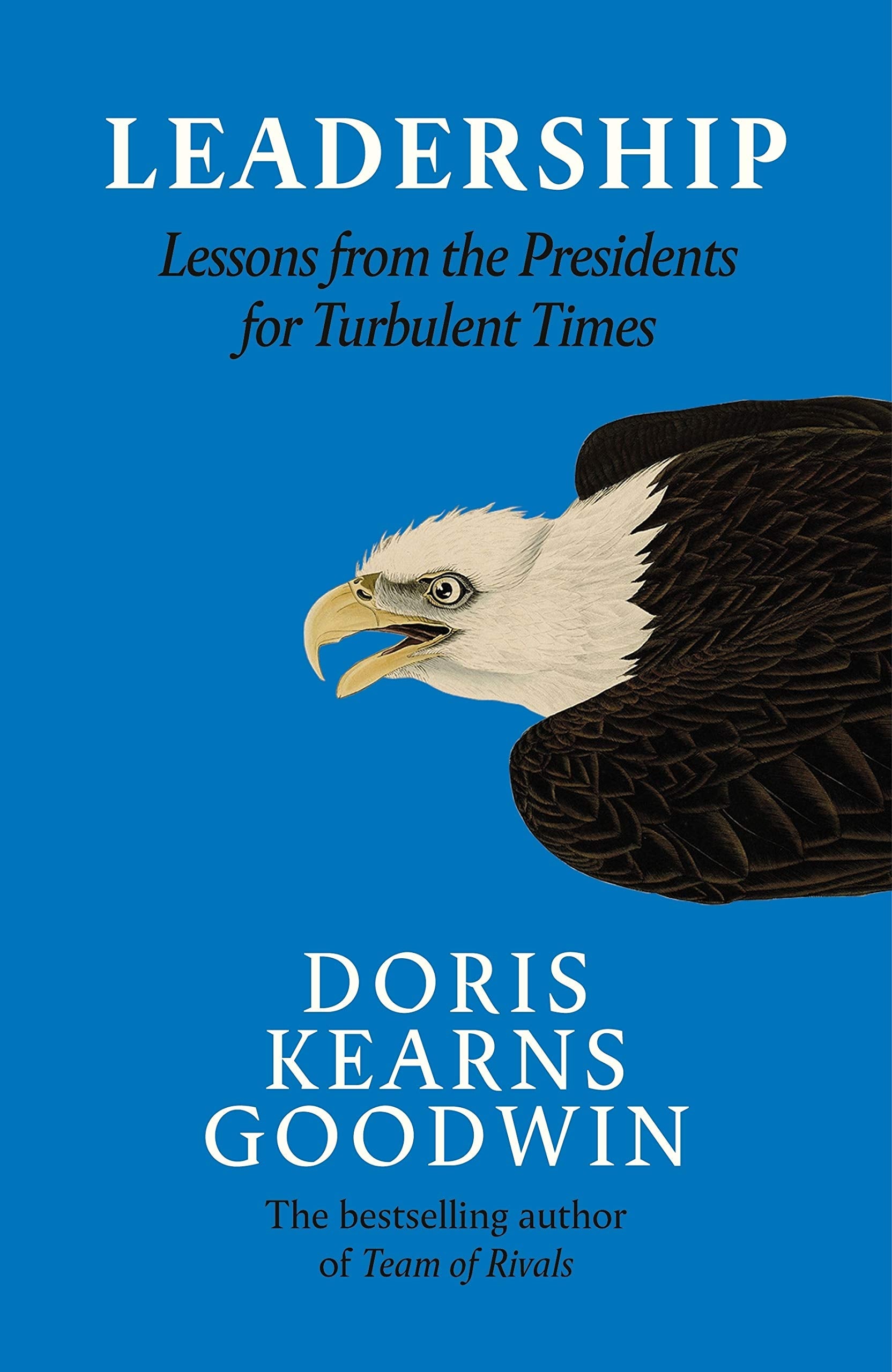 Product Image: Leadership in Turbulent Times
