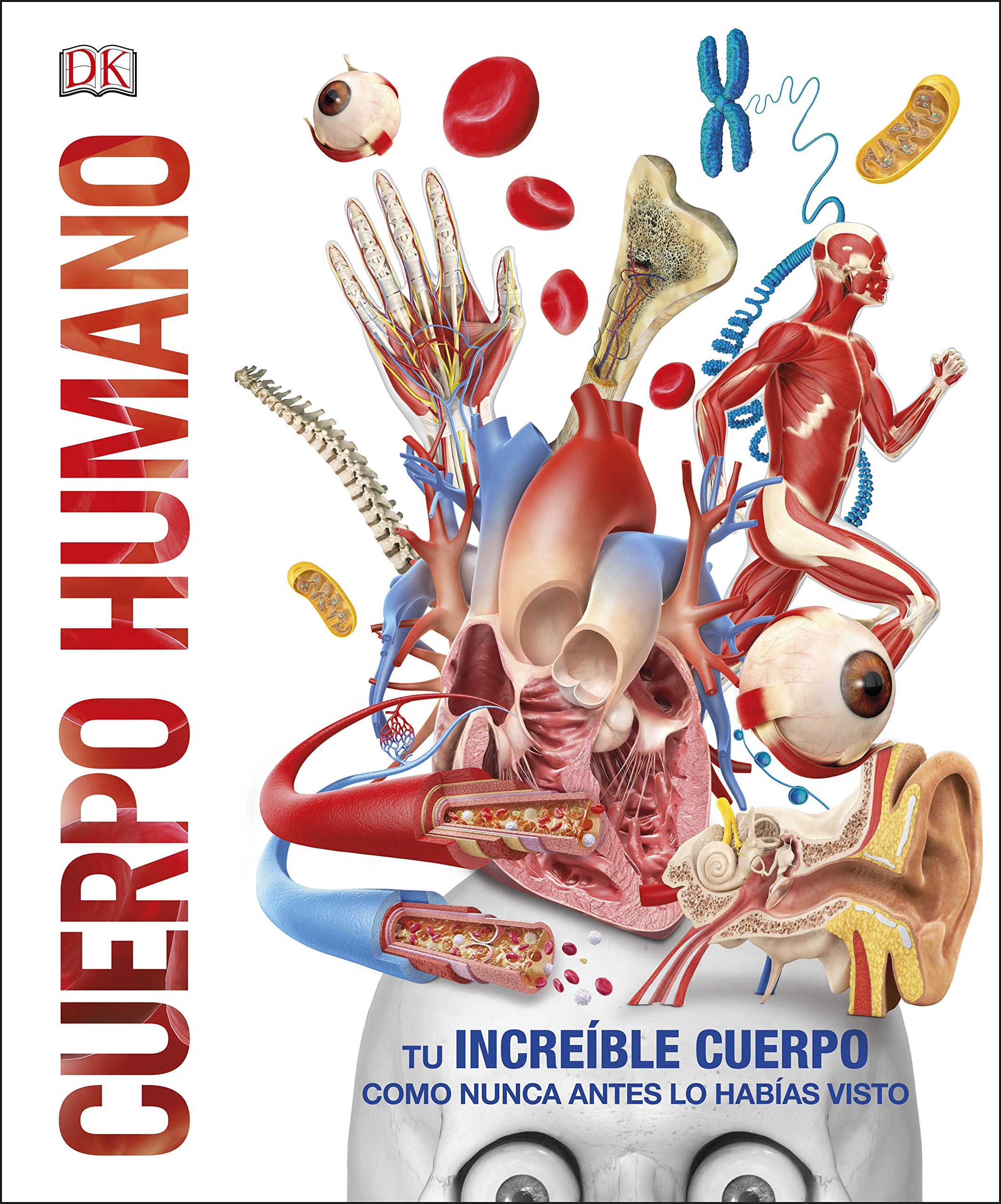 Cuerpo humano: Como nunca antes lo habías visto (Enciclopedia visual juvenil) Social Sciences