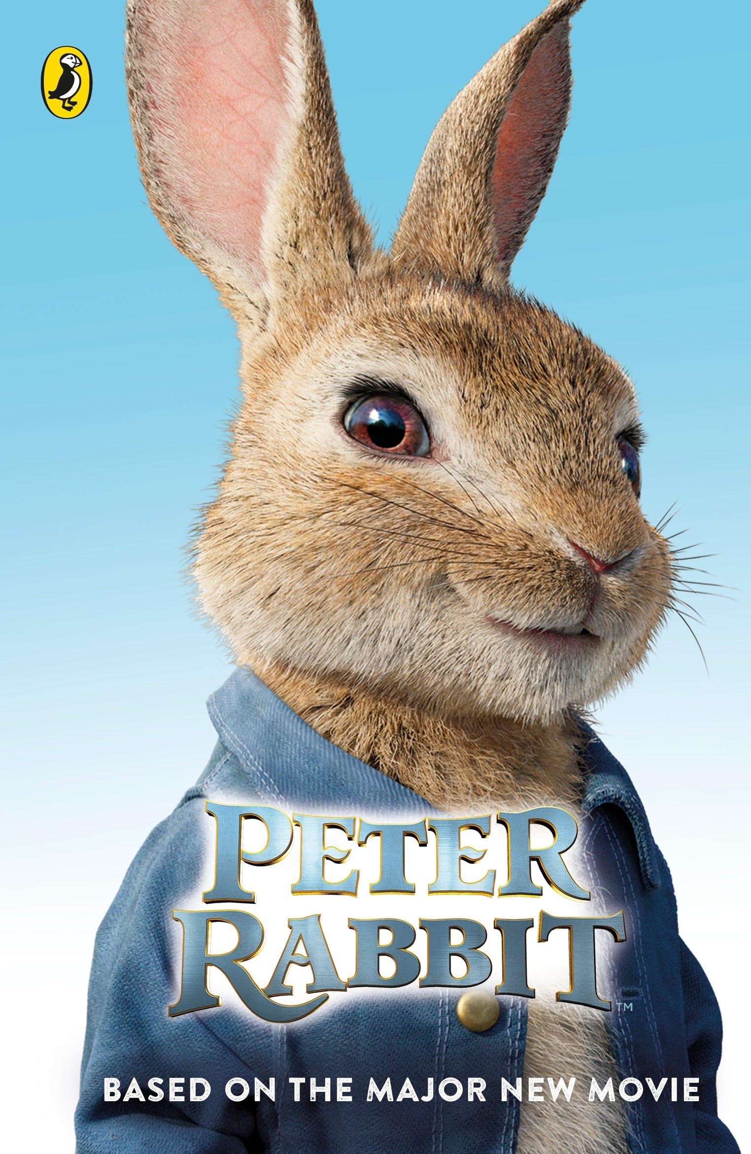 Product Image: Peter Rabbit: Based on the Major New Movie