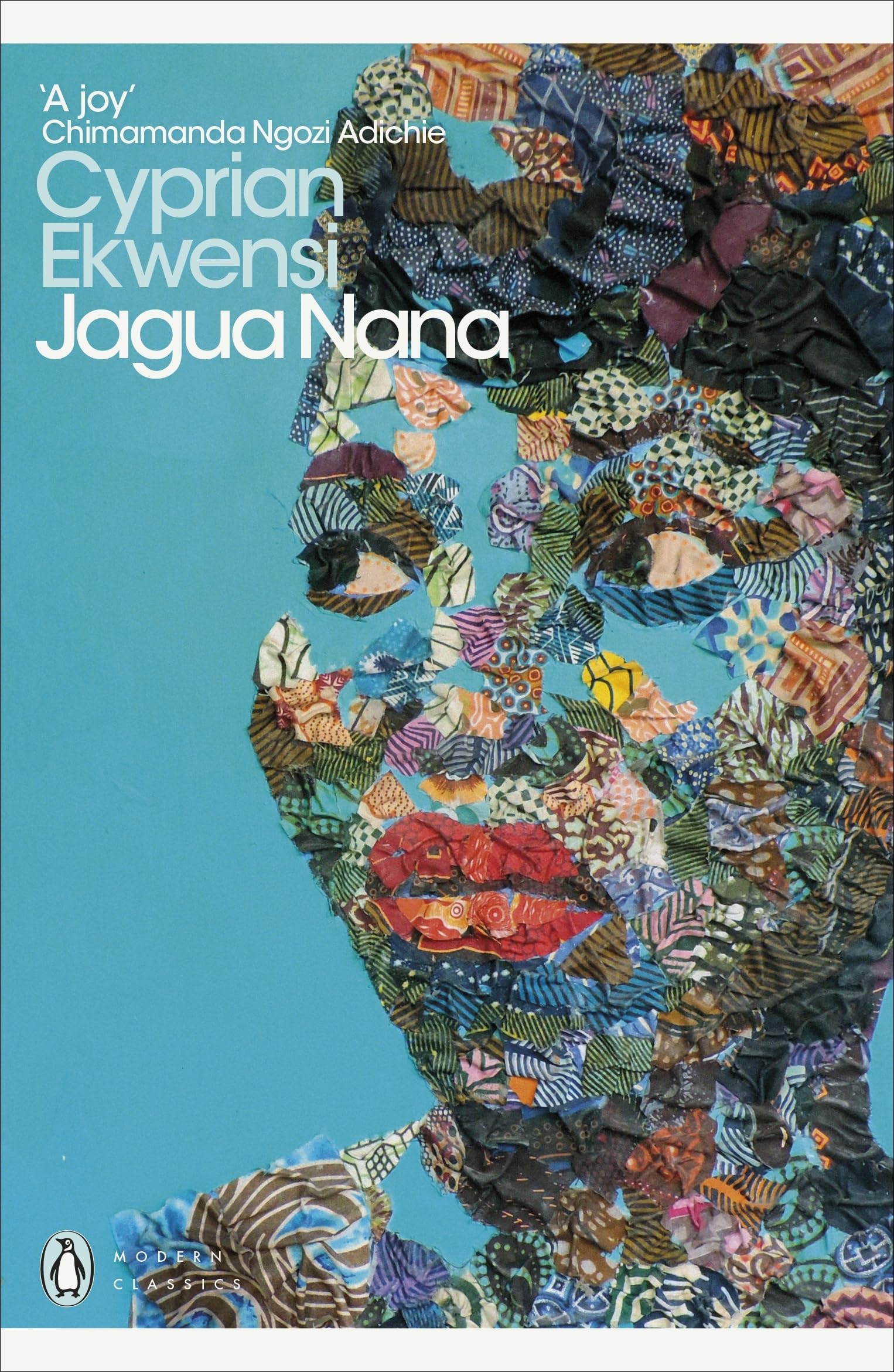 Jagua Nana Contemporary literature