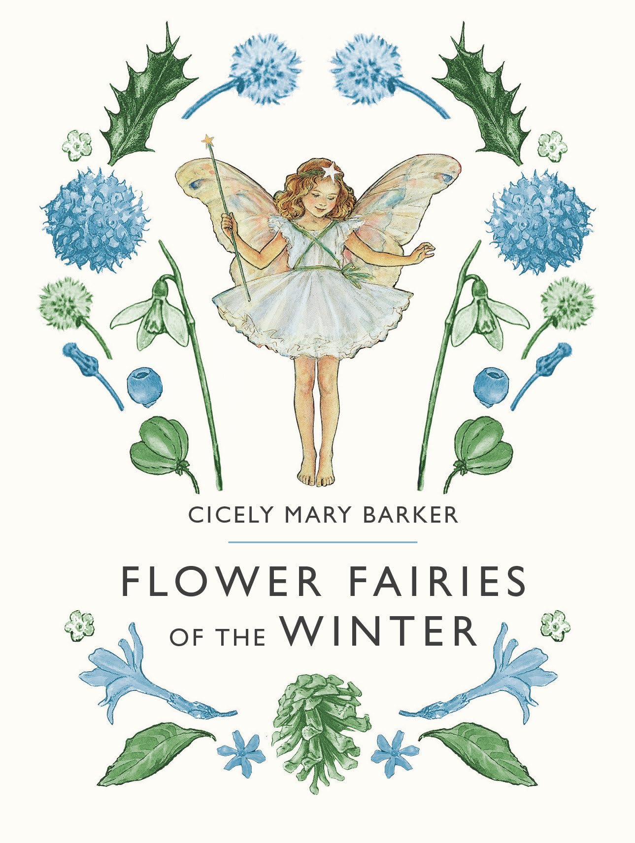Flower Fairies of the Winter Non-fiction