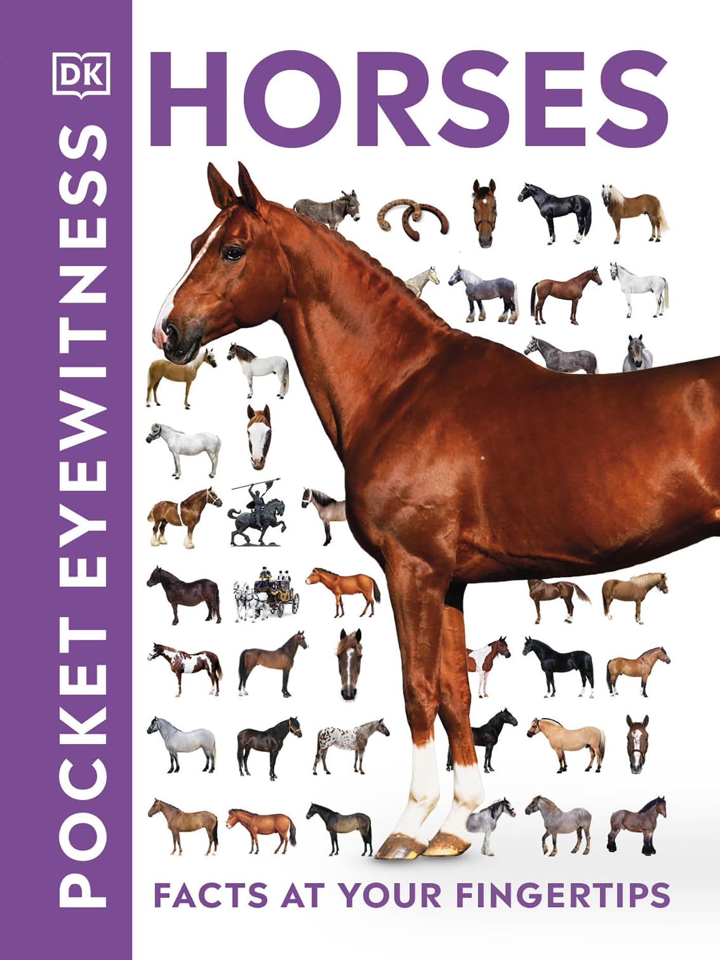 Product Image: Pocket Eyewitness Horses: Facts at Your Fingertips