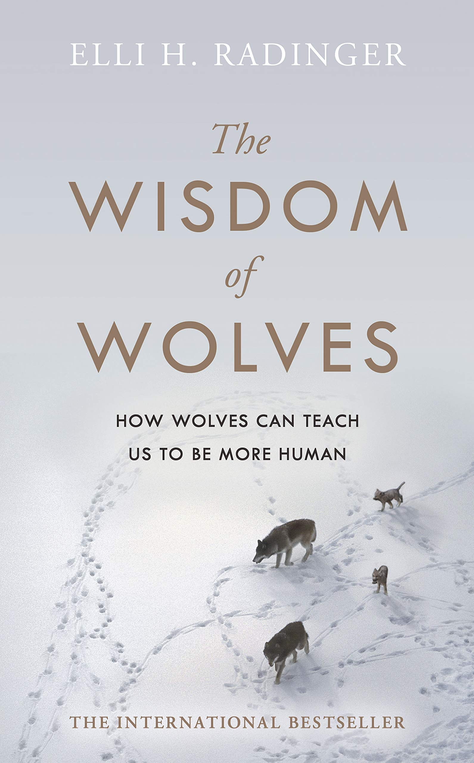 The Wisdom of Wolves: How Wolves Can Teach Us To Be More Human Sports