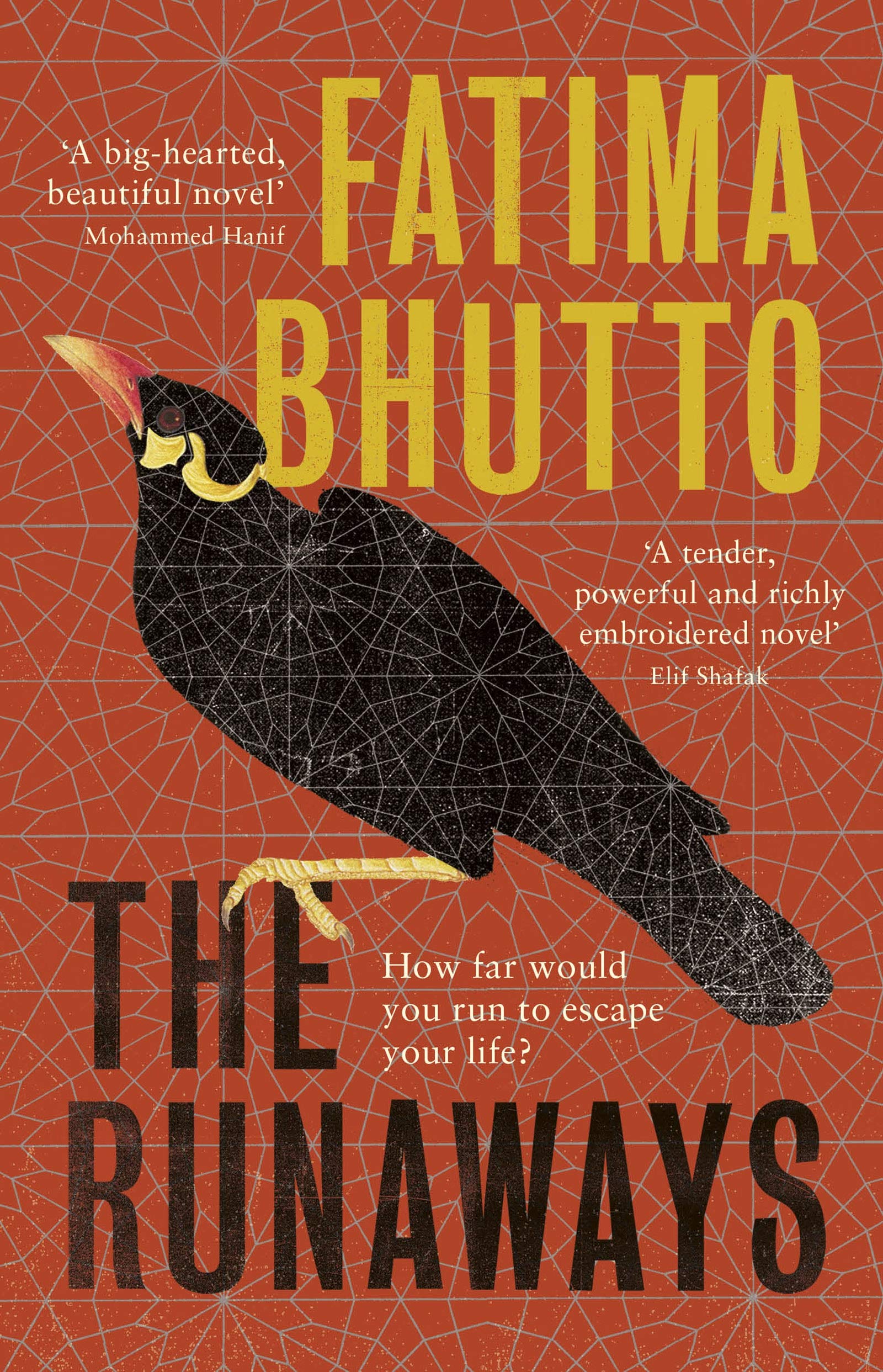 The Runaways: The new ‘bold and probing novel’ you won’t be able to stop talking about Contemporary literature