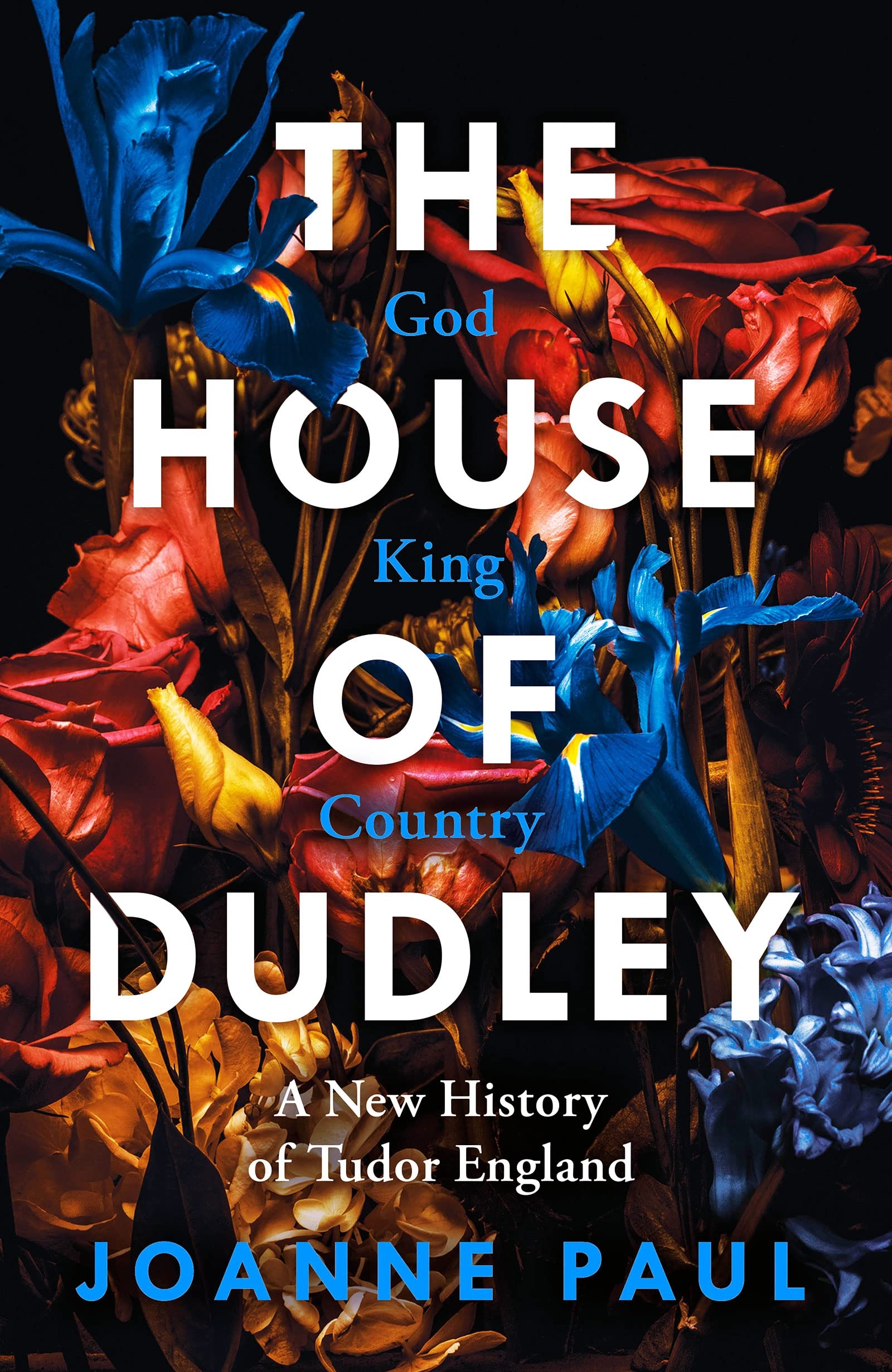 The House of Dudley: A New History of Tudor England. A TIMES Book of the Year 2022 book
