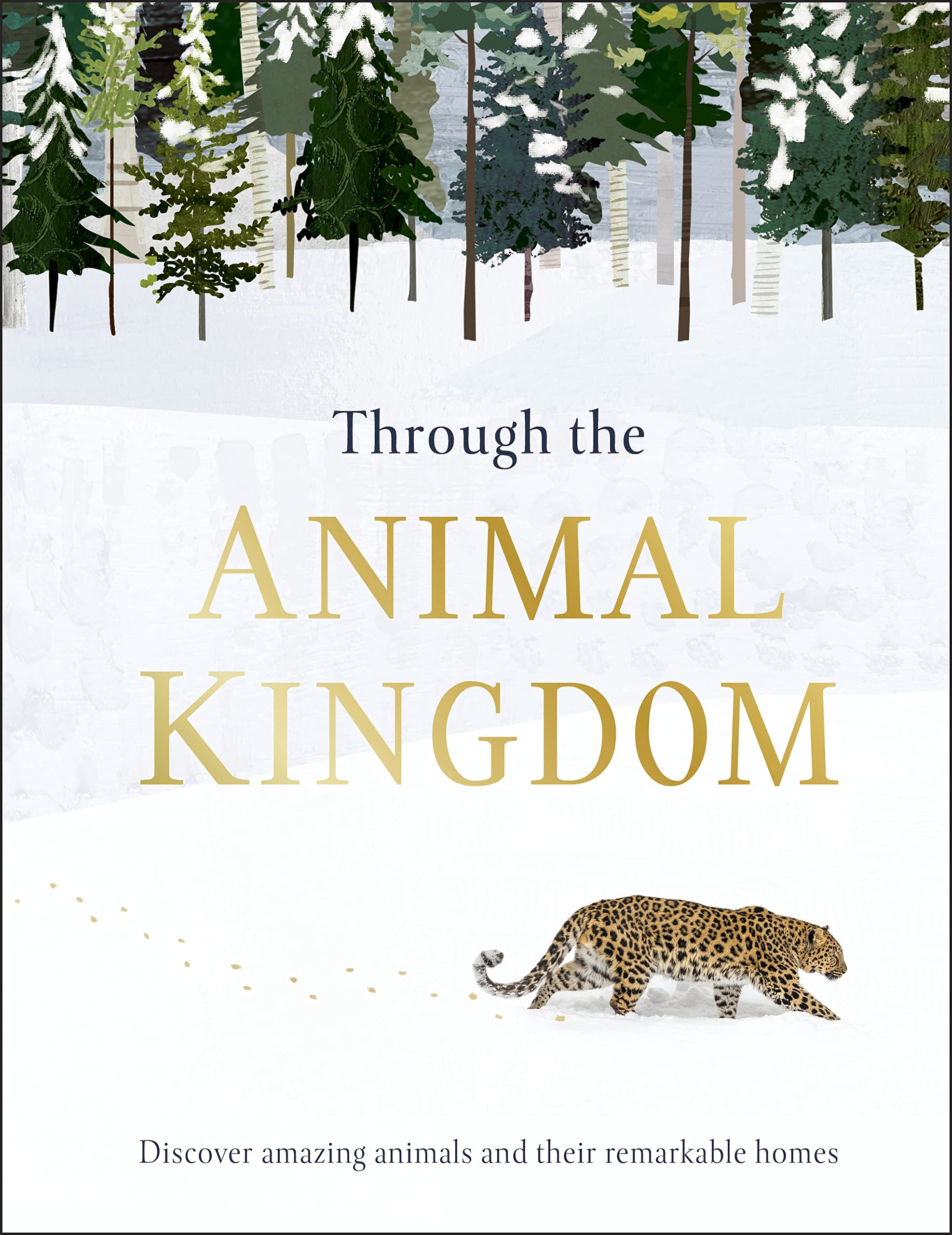 Through the Animal Kingdom: Discover Amazing Animals and Their Remarkable Homes (Journey Through) Non-fiction