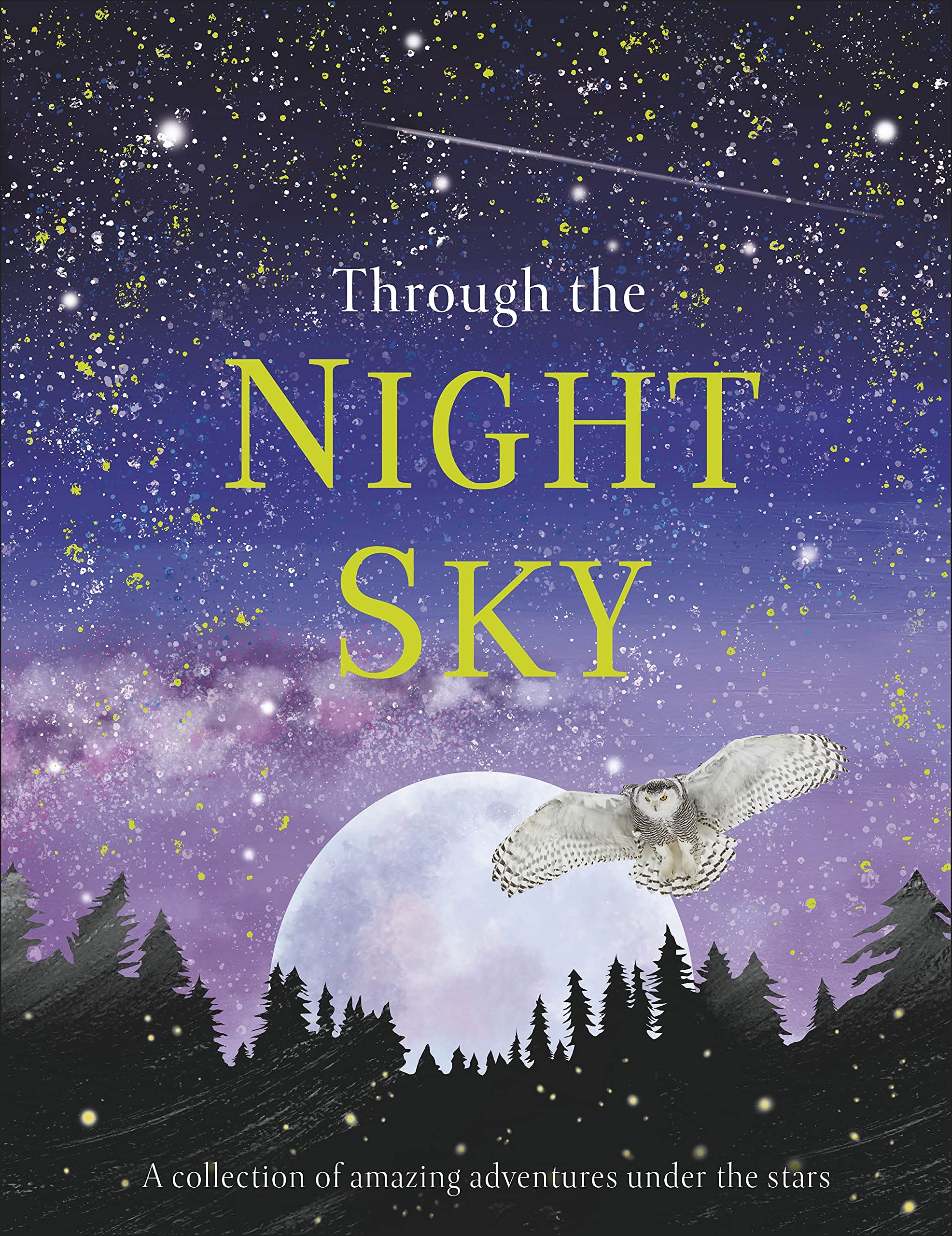 Through the Night Sky: A collection of amazing adventures under the stars (Journey Through) Non-fiction