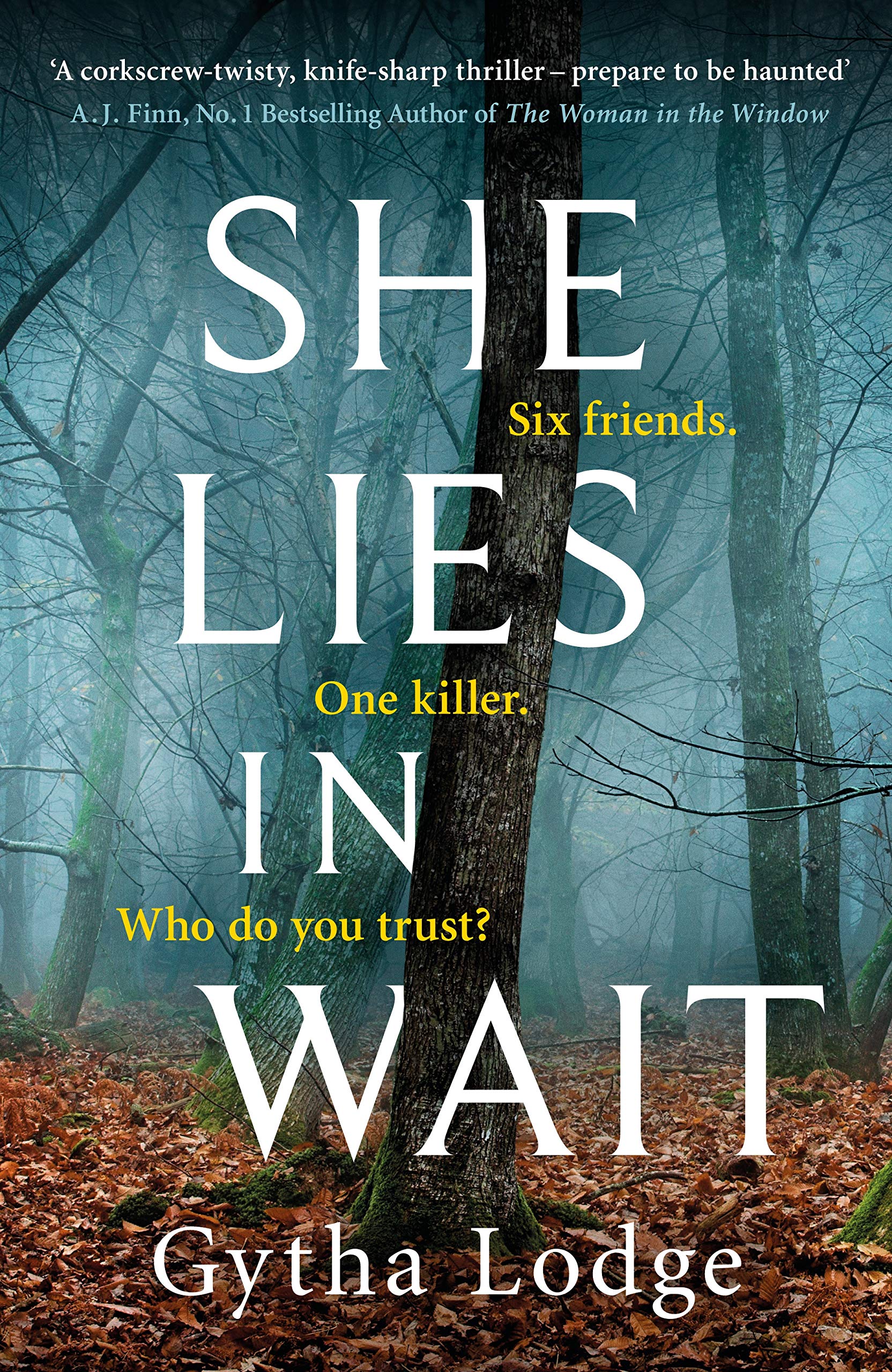She Lies in Wait: The gripping Sunday Times bestselling Richard & Judy thriller pick Contemporary literature