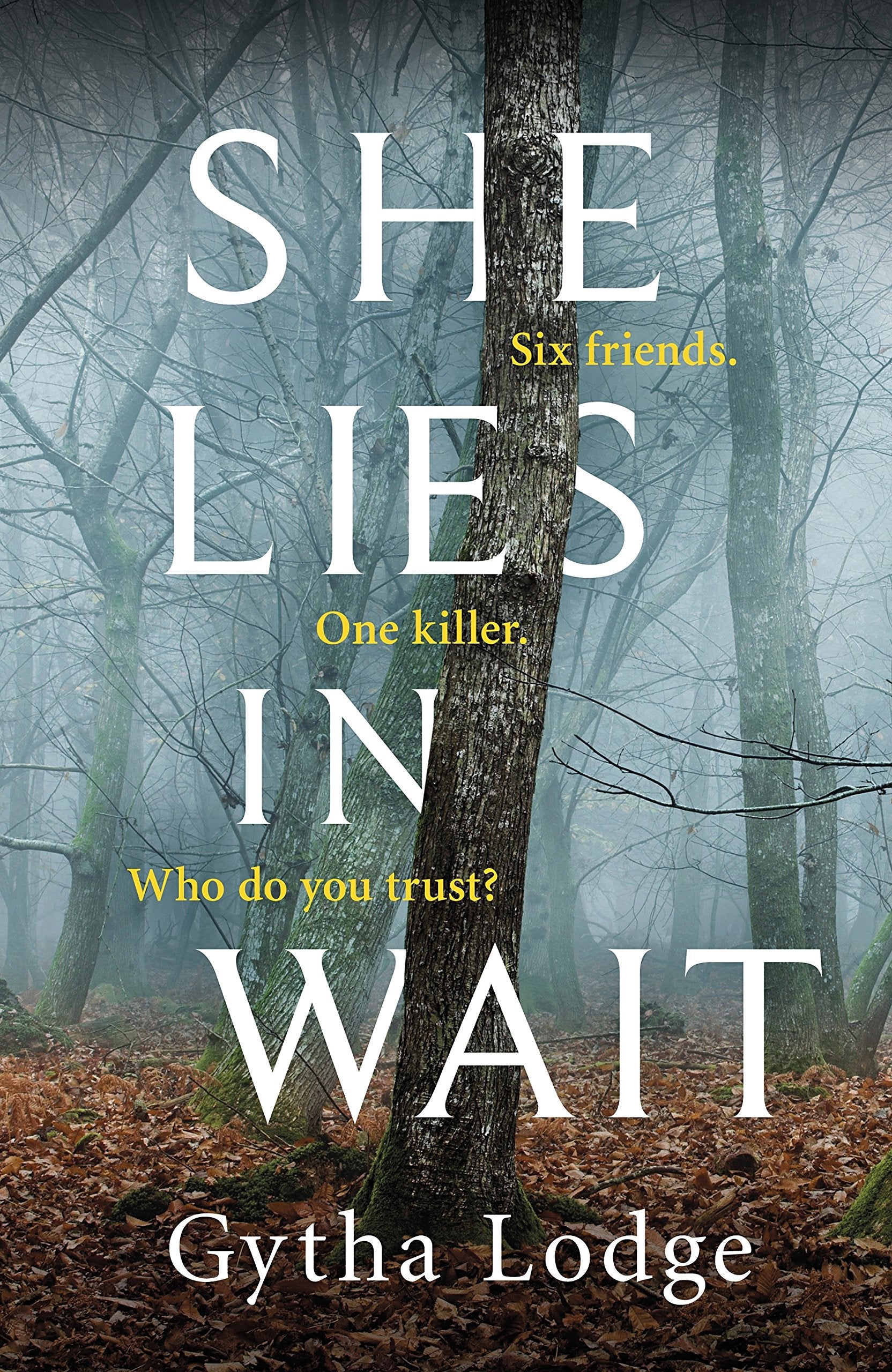 She Lies in Wait: The gripping Sunday Times bestselling Richard & Judy thriller pick Contemporary literature