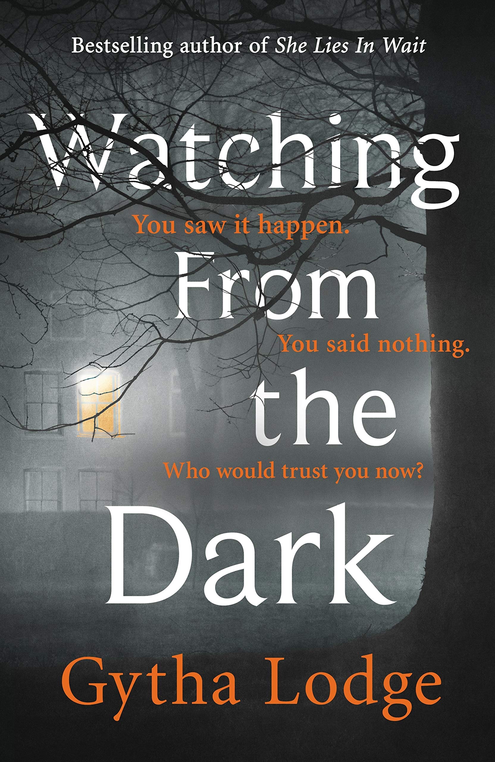 Watching from the Dark Contemporary literature Books