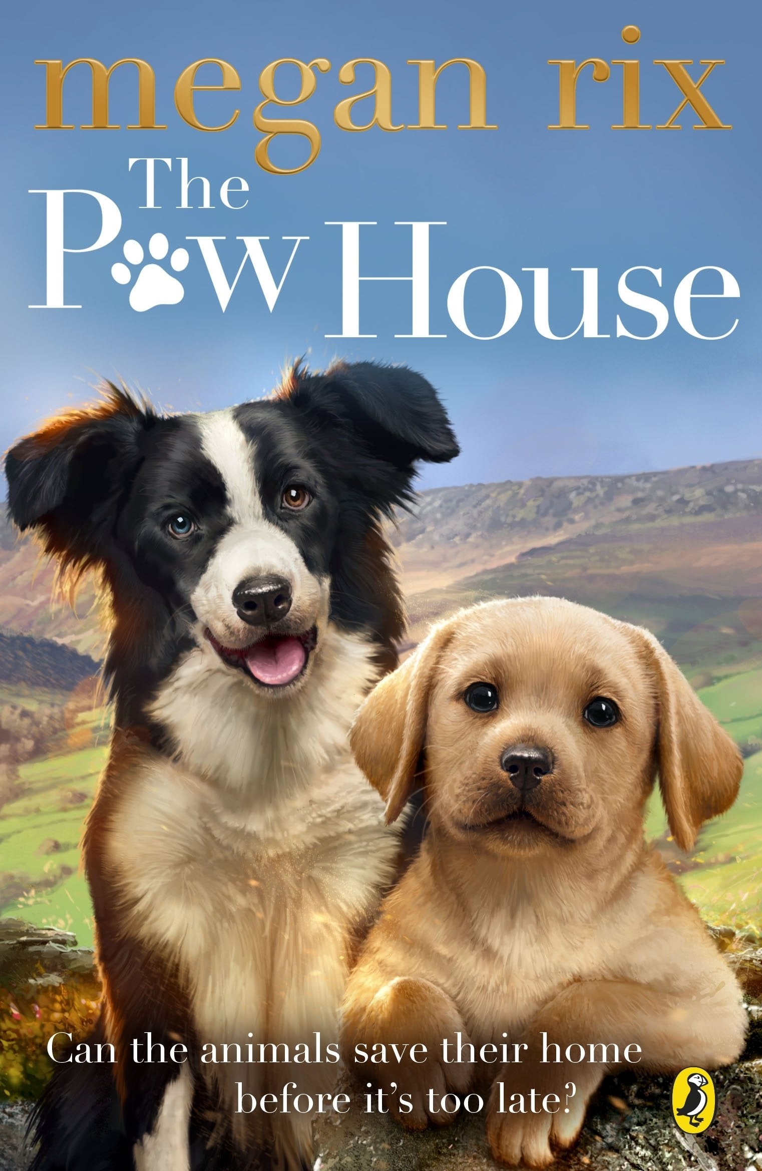 Product Image: The Paw House