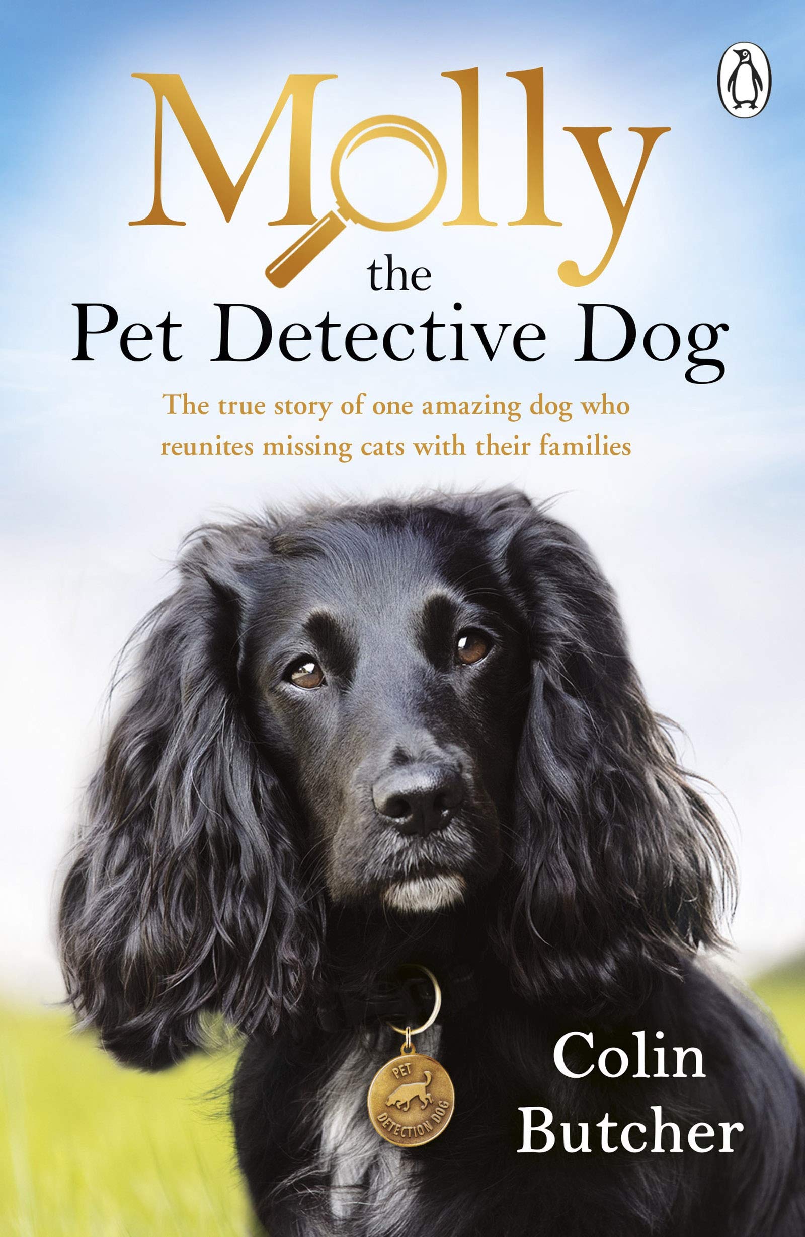 Molly the Pet Detective Dog: The true story of one amazing dog who reunites missing cats with their families book