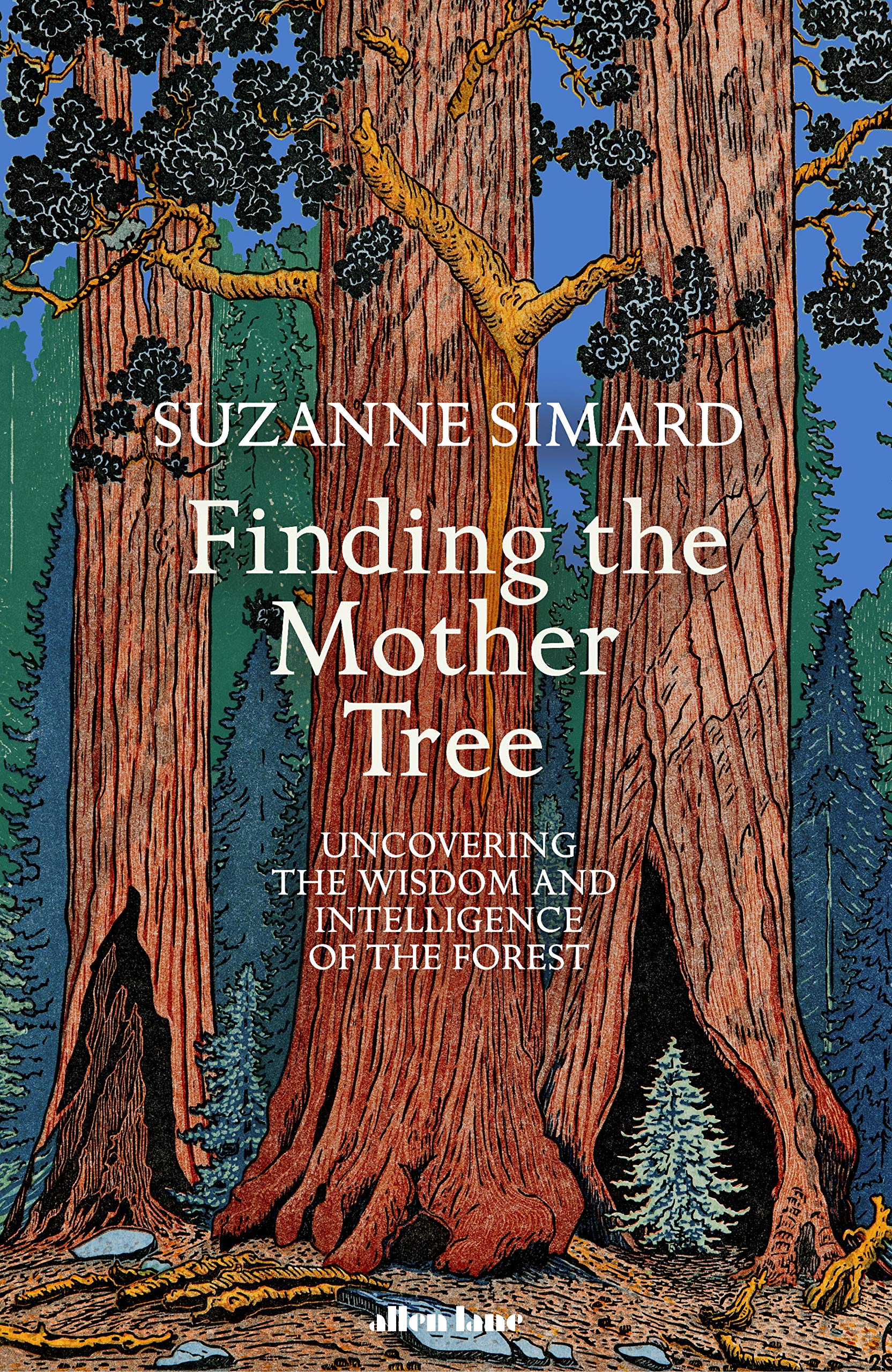 Finding the Mother Tree Mathematics