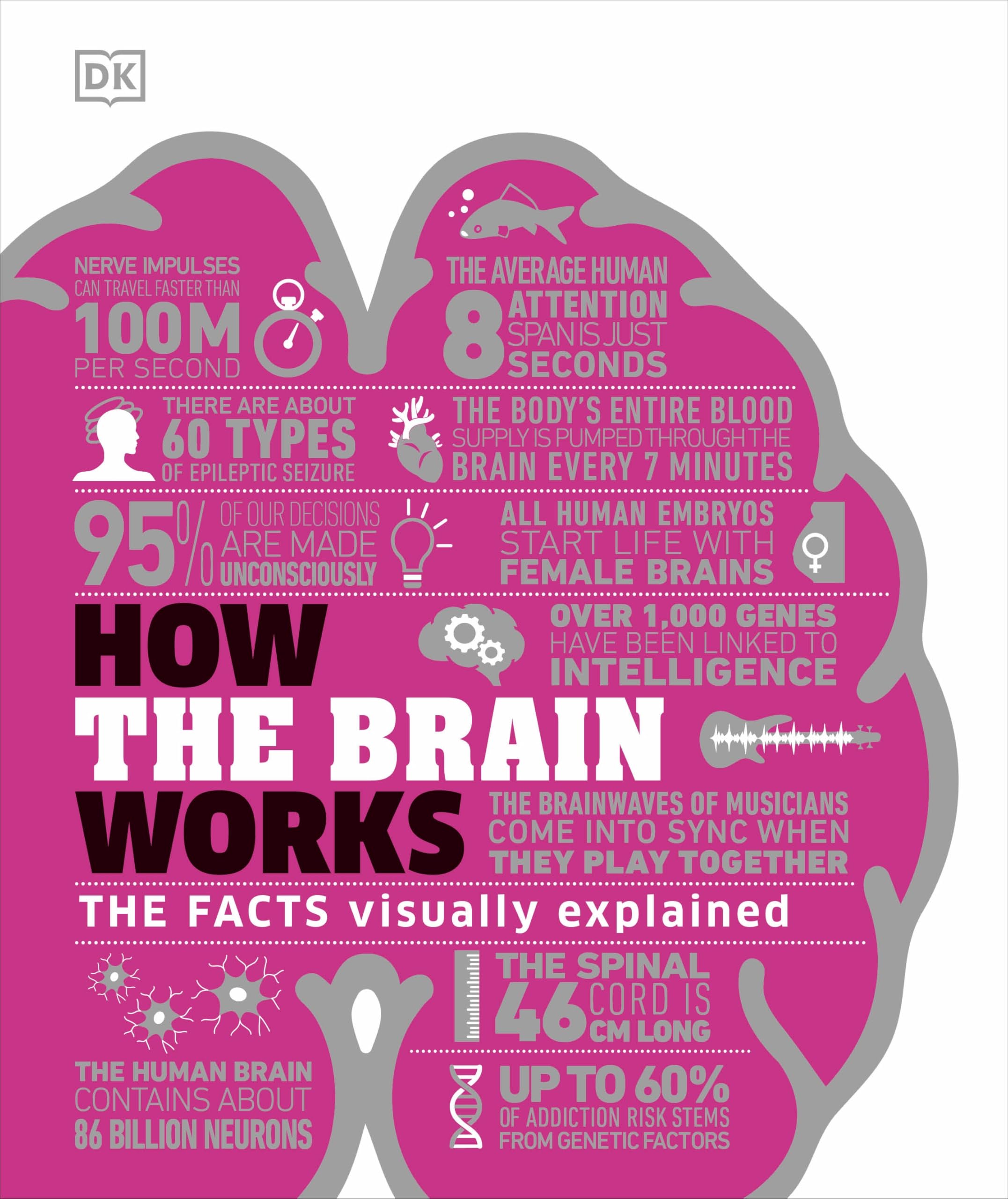 How the Brain Works University books