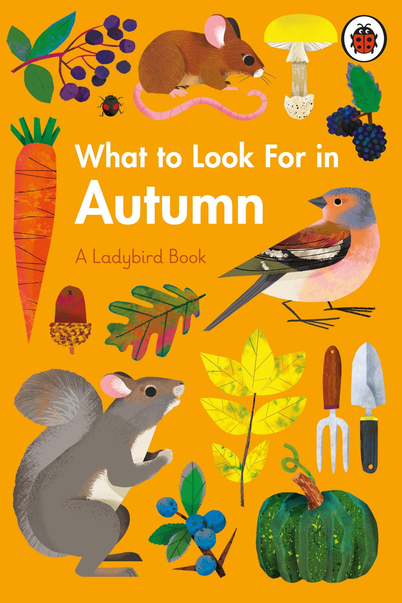 What to Look For in Autumn (A Ladybird Book) Non-fiction